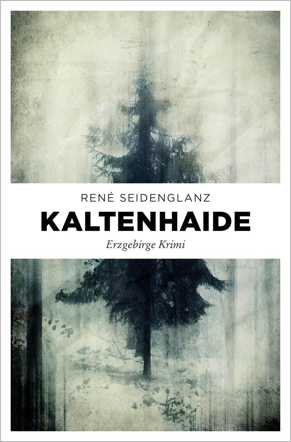 Cover: 9783740813376 | Kaltenhaide | Erzgebirge Krimi | René Seidenglanz | Taschenbuch | 2021