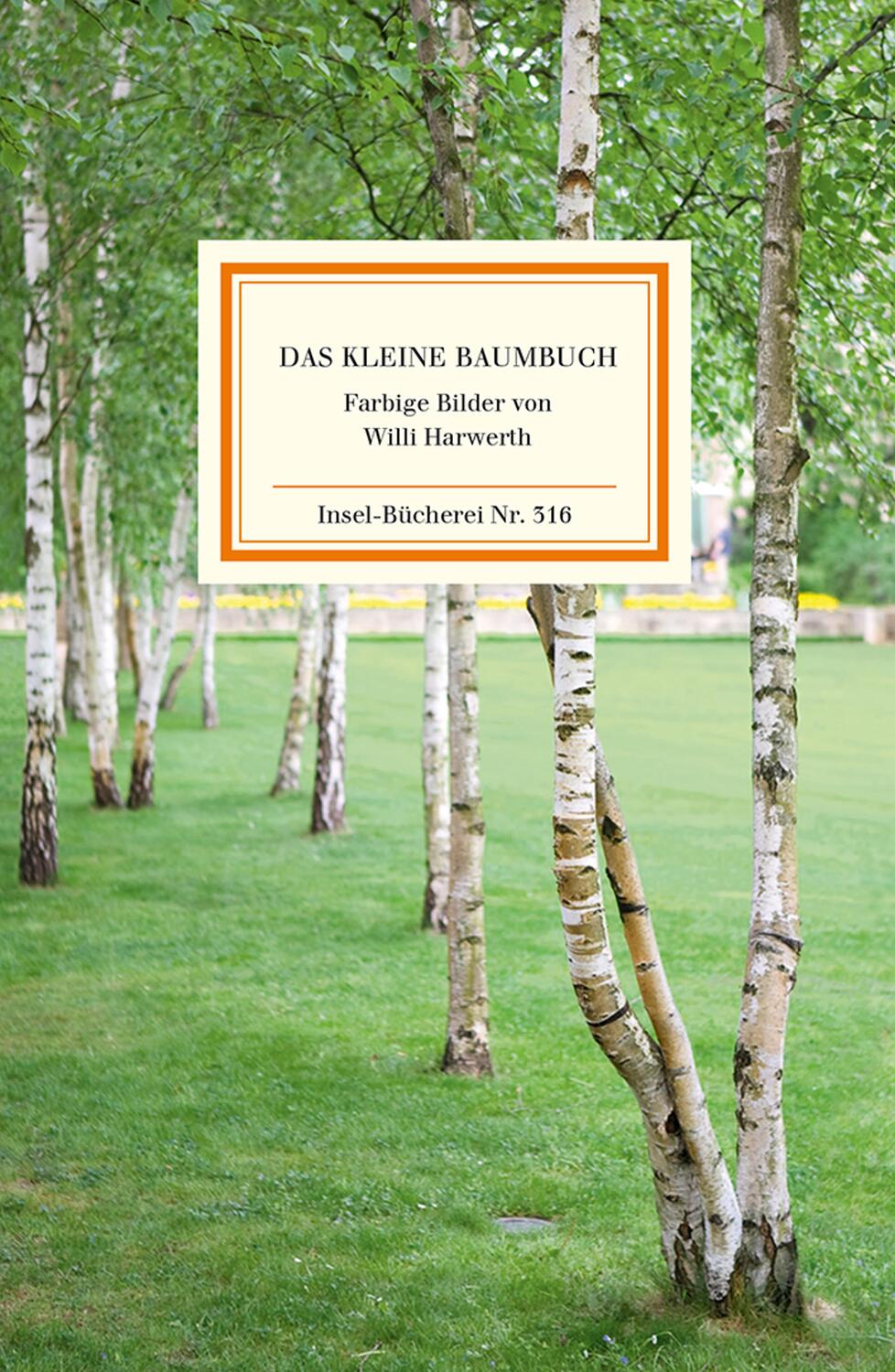 Cover: 9783458083160 | Das kleine Baumbuch | Die deutschen Waldbäume | Willi Harwerth | Buch
