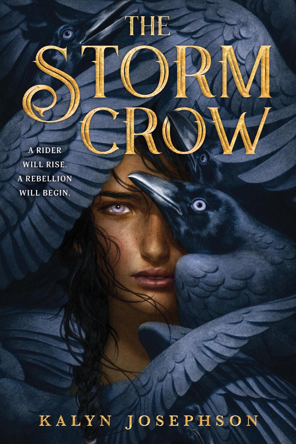 Cover: 9781728206974 | The Storm Crow | Kalyn Josephson | Taschenbuch | Storm Crow | Englisch