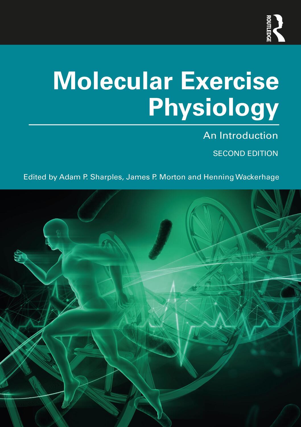 Cover: 9781138086883 | Molecular Exercise Physiology | An Introduction | Sharples (u. a.)