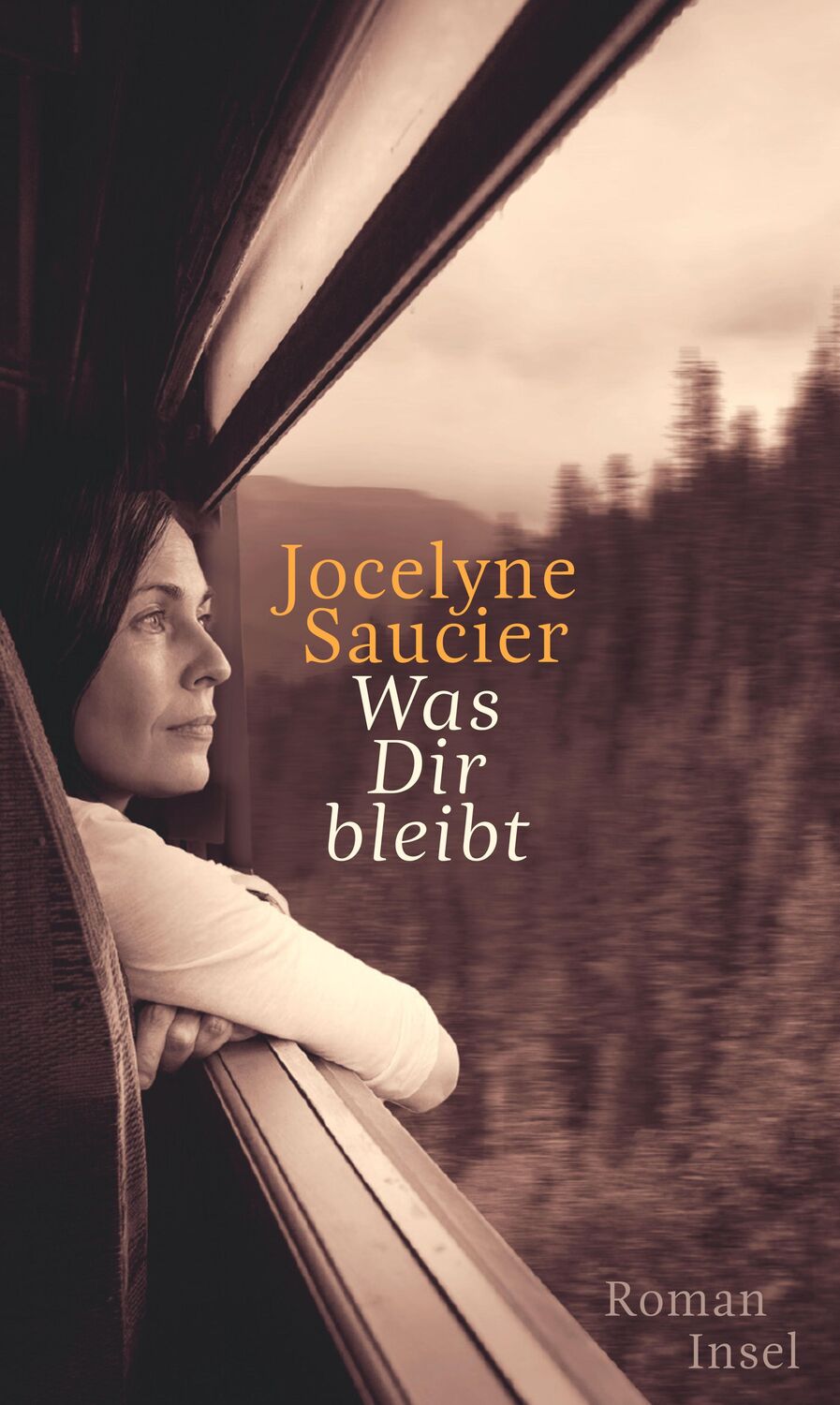 Cover: 9783458178781 | Was dir bleibt | Jocelyne Saucier | Buch | 253 S. | Deutsch | 2020
