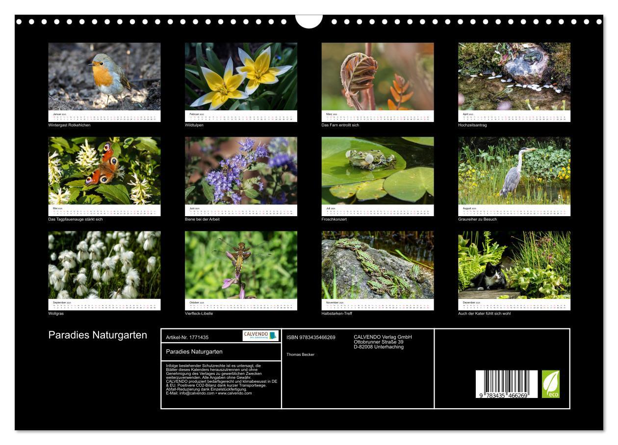 Bild: 9783435466269 | Paradies Naturgarten (Wandkalender 2025 DIN A3 quer), CALVENDO...