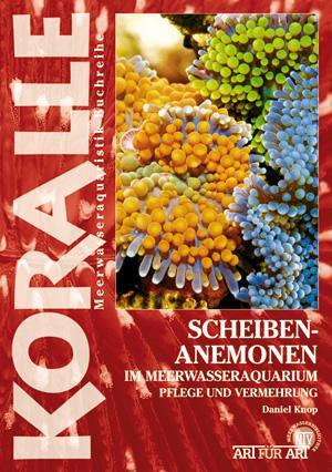 Cover: 9783866590533 | Scheibenanemonen | Pflege und Vermehrung | Daniel Knop | Taschenbuch