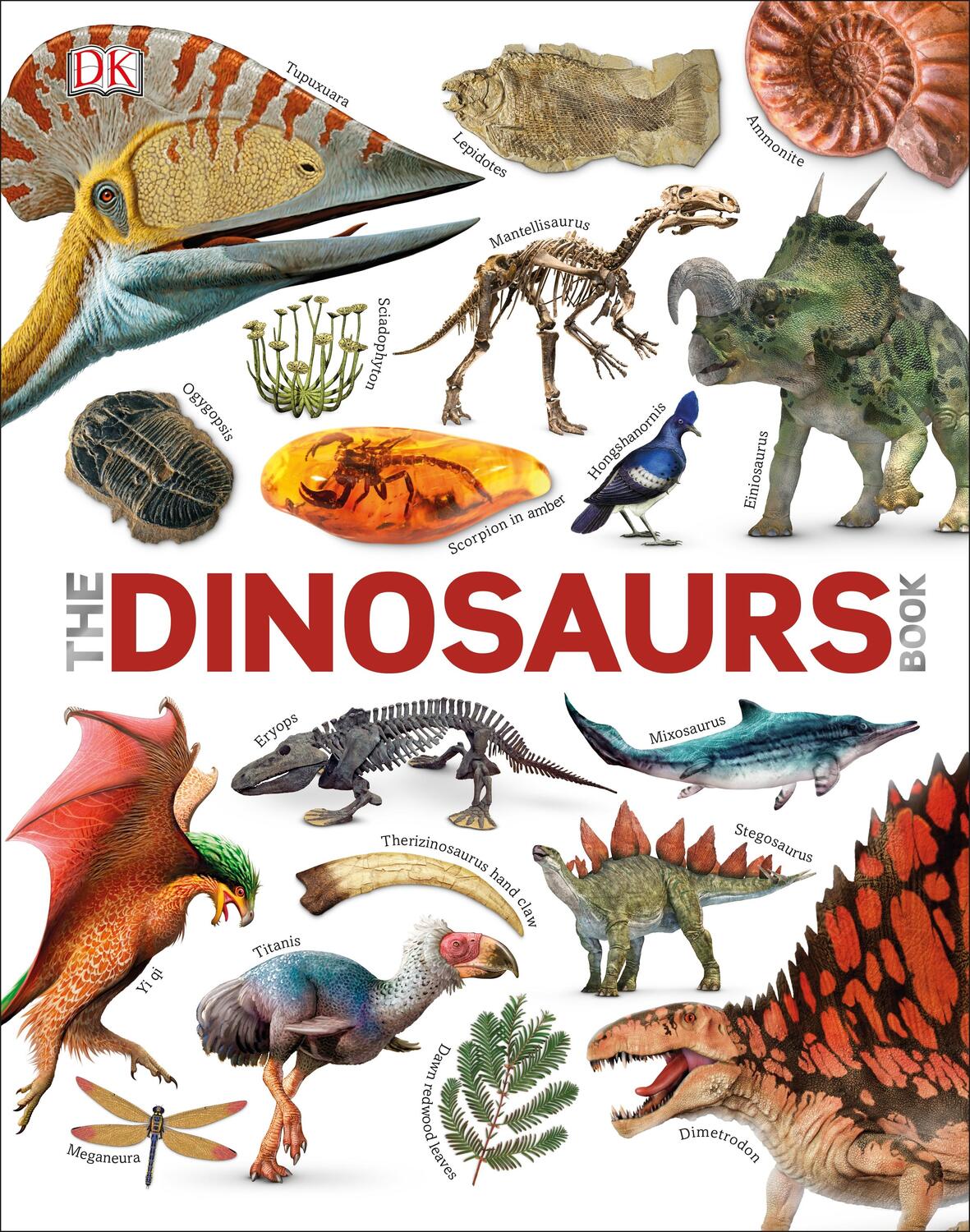 Cover: 9780241300077 | The Dinosaurs Book | John Woodward (u. a.) | Buch | Englisch | 2018