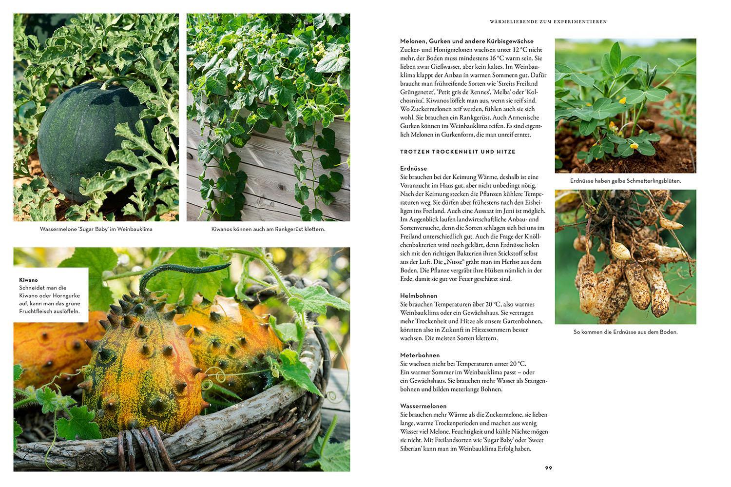Bild: 9783440178805 | Trockenhelden im Gemüsebeet | Ortrud Grieb | Taschenbuch | 128 S.