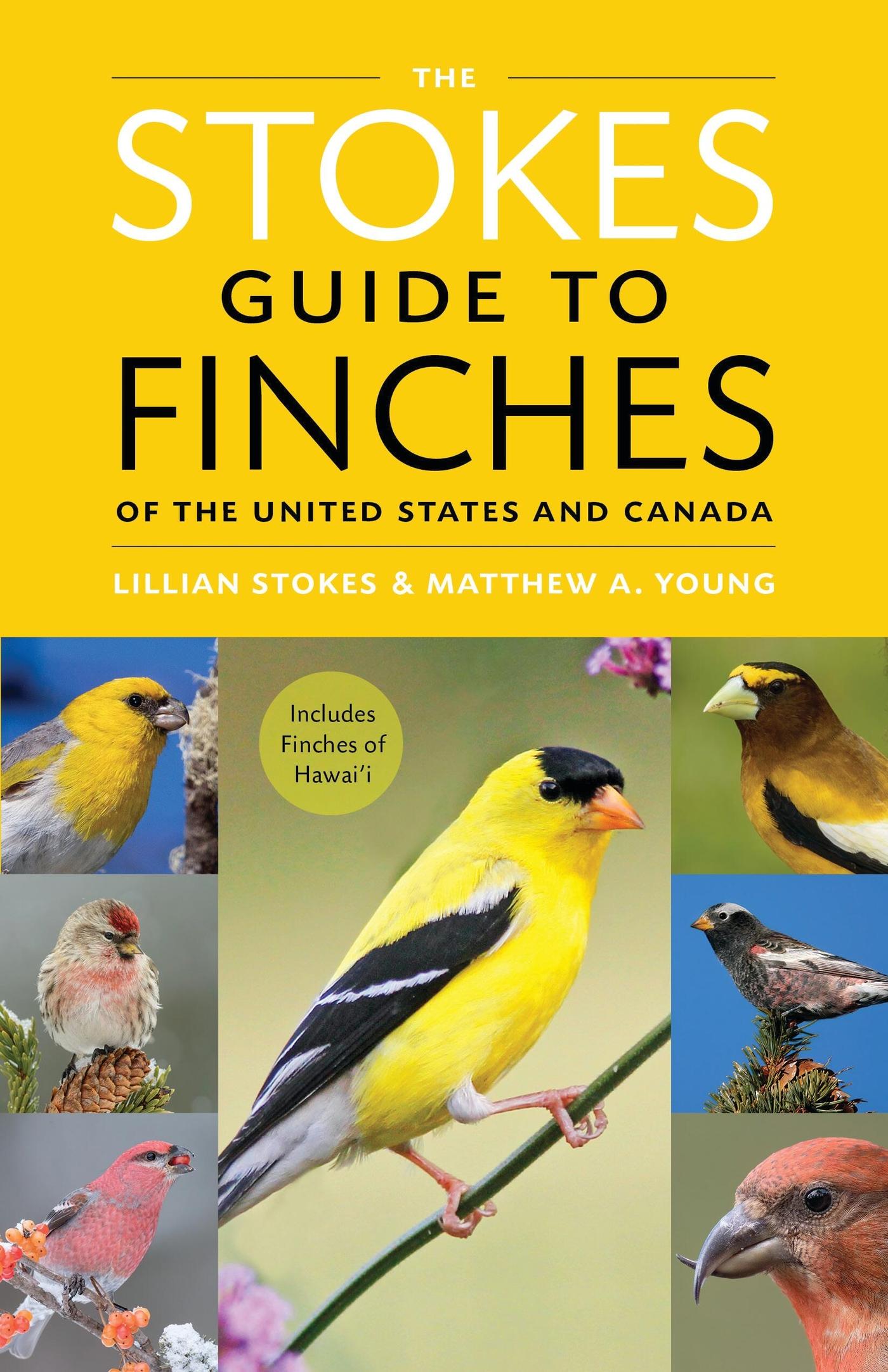 Cover: 9780316419932 | The Stokes Guide to Finches of the United States and Canada | Buch