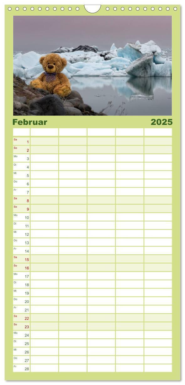 Bild: 9783457110614 | Familienplaner 2025 - Travelling Teddy mit 5 Spalten (Wandkalender,...