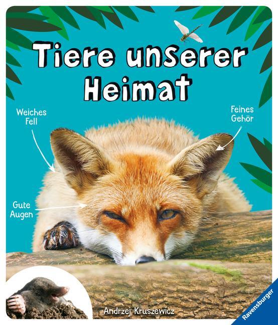 Cover: 9783473554508 | Tiere unserer Heimat | Andrzej G. Kruszewicz | Buch | 120 S. | Deutsch