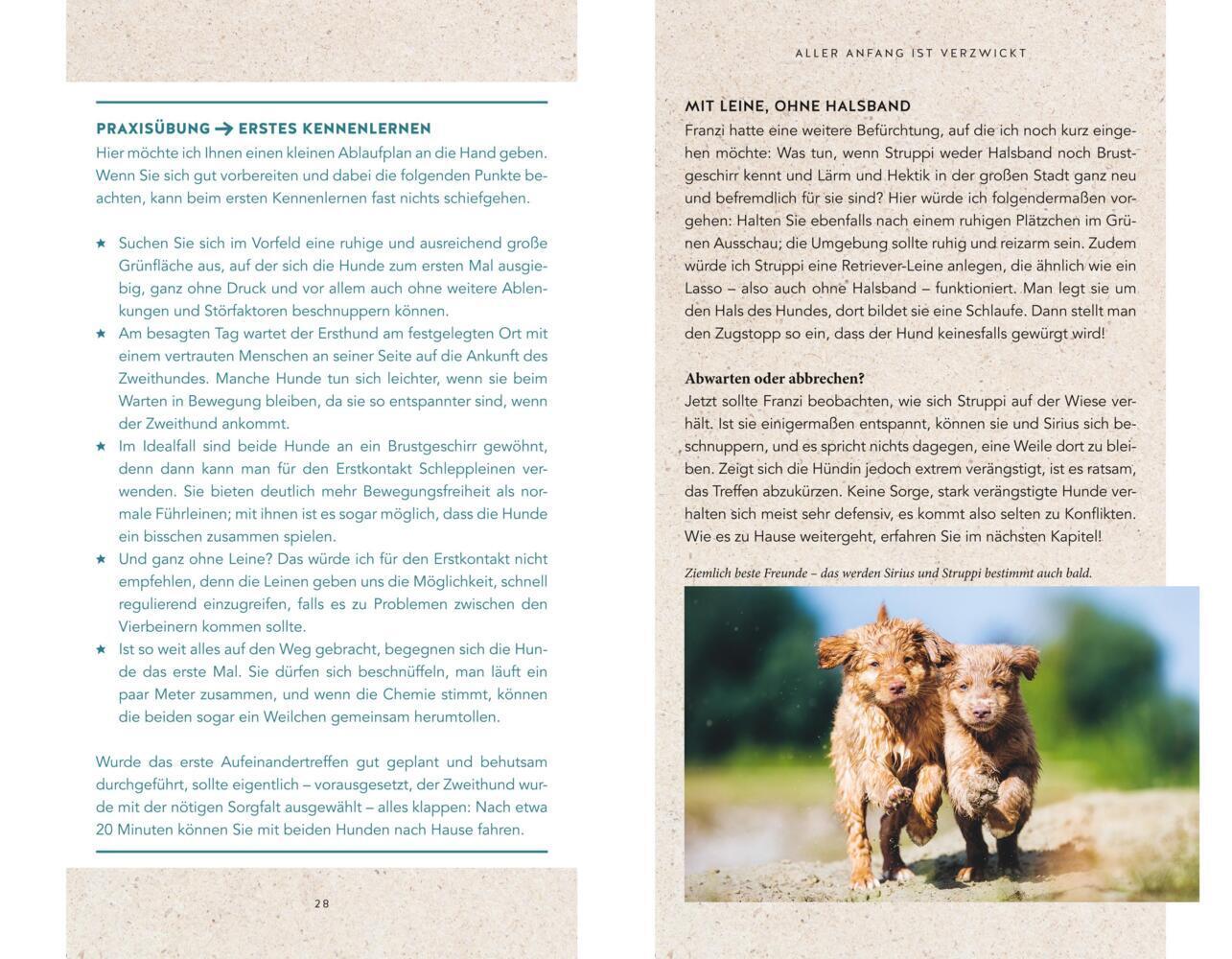 Bild: 9783833878985 | Wahres Hundeglück im Doppelpack | Julie Leuze (u. a.) | Buch | 208 S.