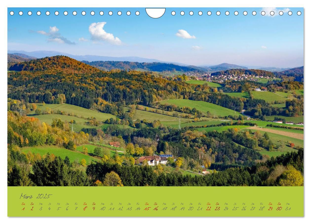 Bild: 9783435194247 | Der Bayerische Wald (Wandkalender 2025 DIN A4 quer), CALVENDO...