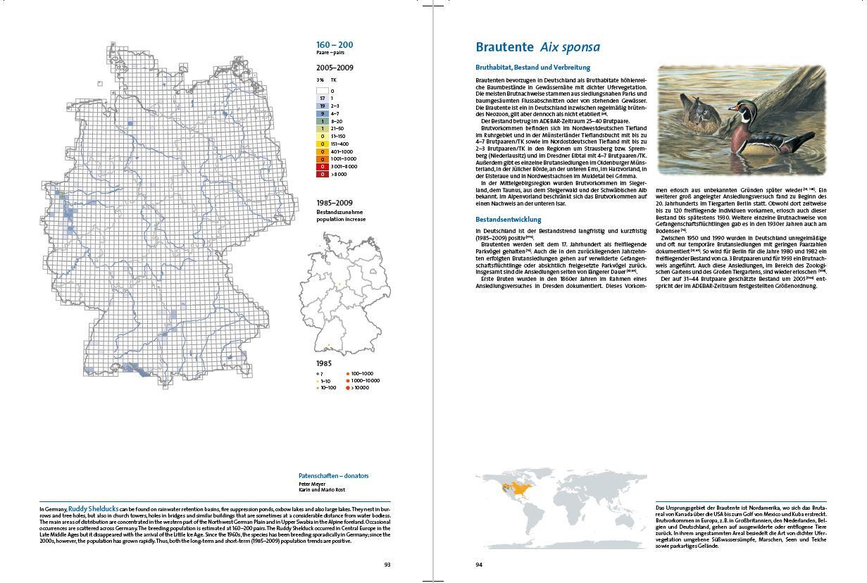 Bild: 9783968490656 | Atlas Deutscher Brutvogelarten (ADEBAR) | Kai Gedeon (u. a.) | Buch