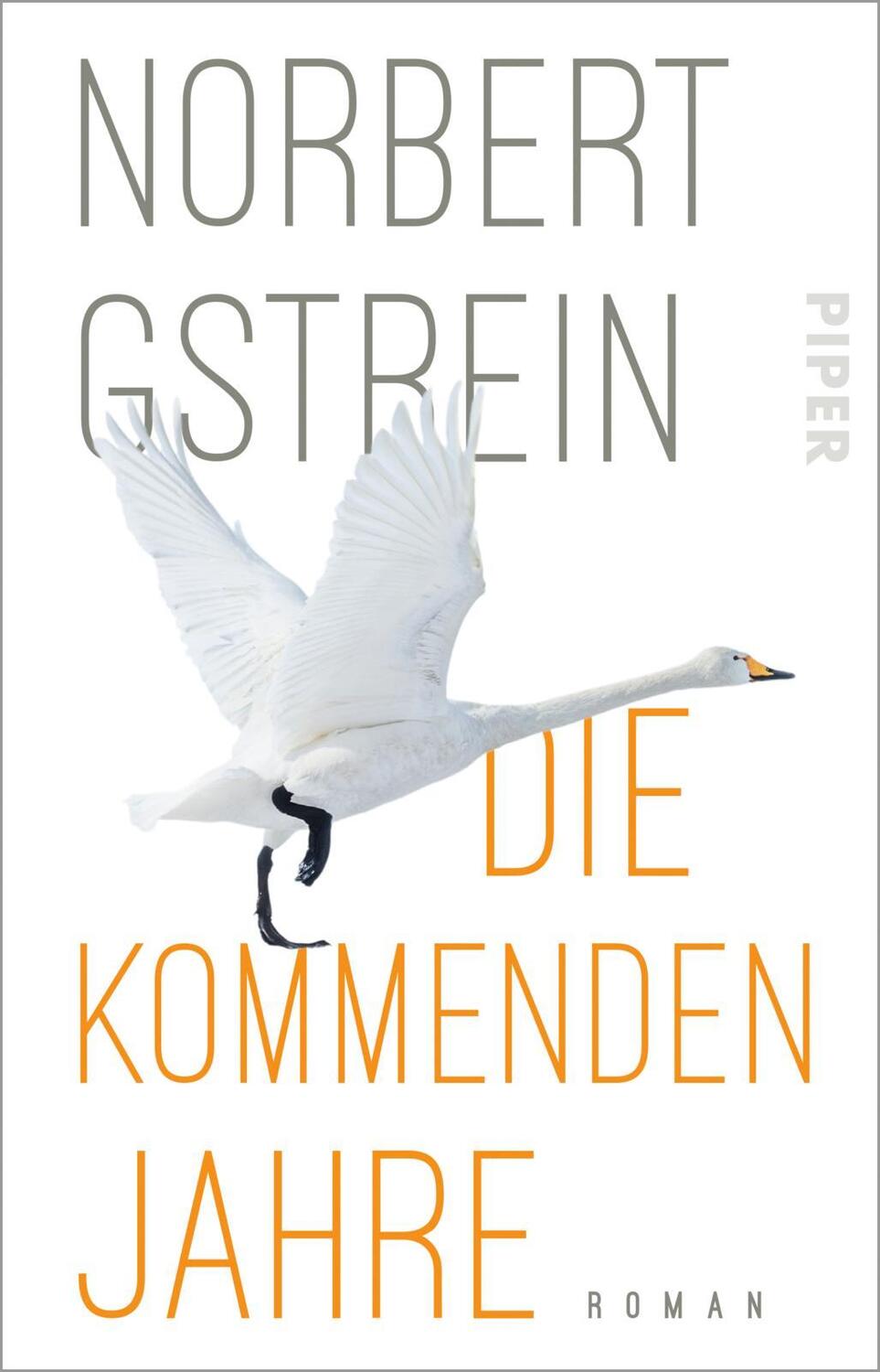 Cover: 9783492317290 | Die kommenden Jahre | Norbert Gstrein | Taschenbuch | Deutsch | 2021
