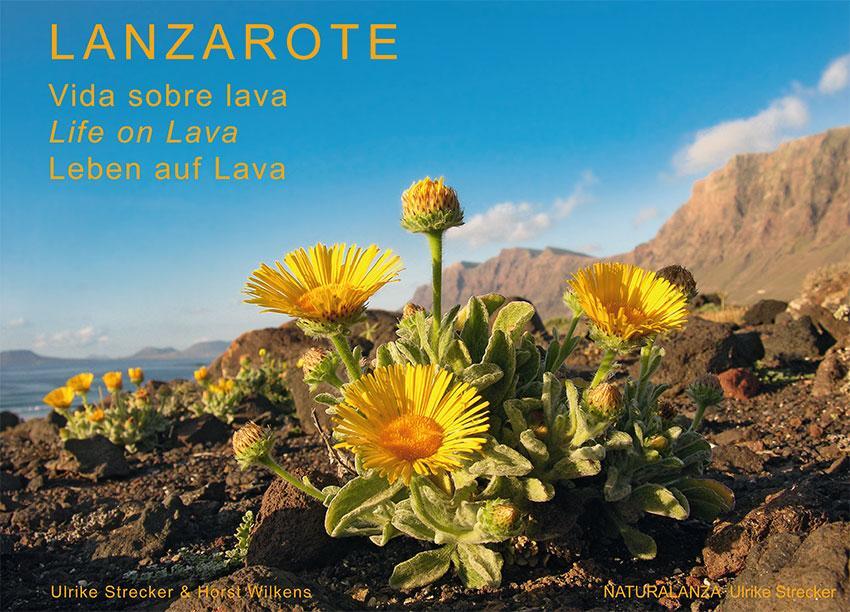 Cover: 9783942999038 | Lanzarote - Leben auf Lava | Vida sobre lava - Life on Lava | Buch