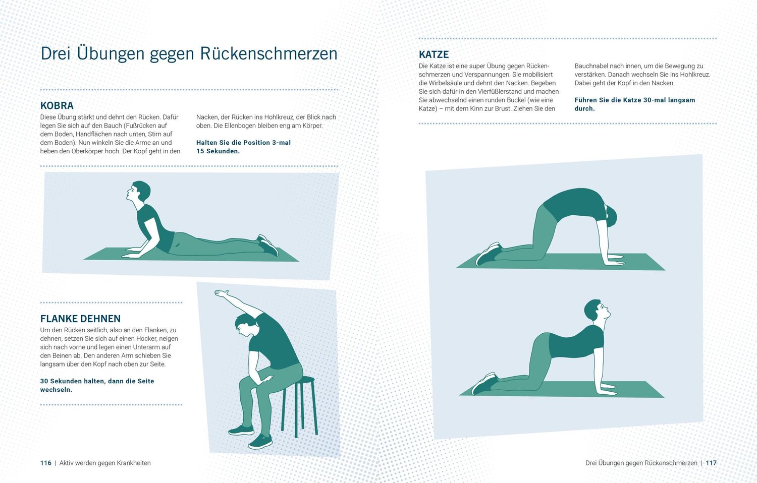 Bild: 9783965840270 | Die Bewegungs-Docs - Bewegung als Medizin | Melanie Hümmelgen (u. a.)