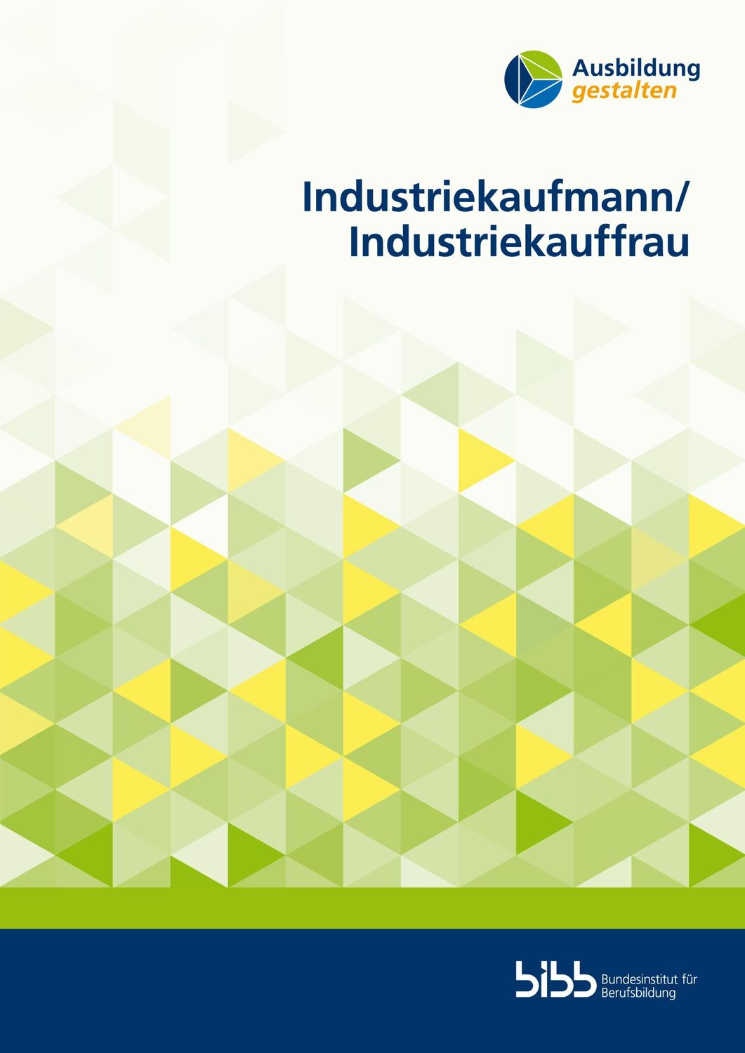 Cover: 9783847428527 | Industriekaufmann/Industriekauffrau | Doreen Stiefel (u. a.) | Buch