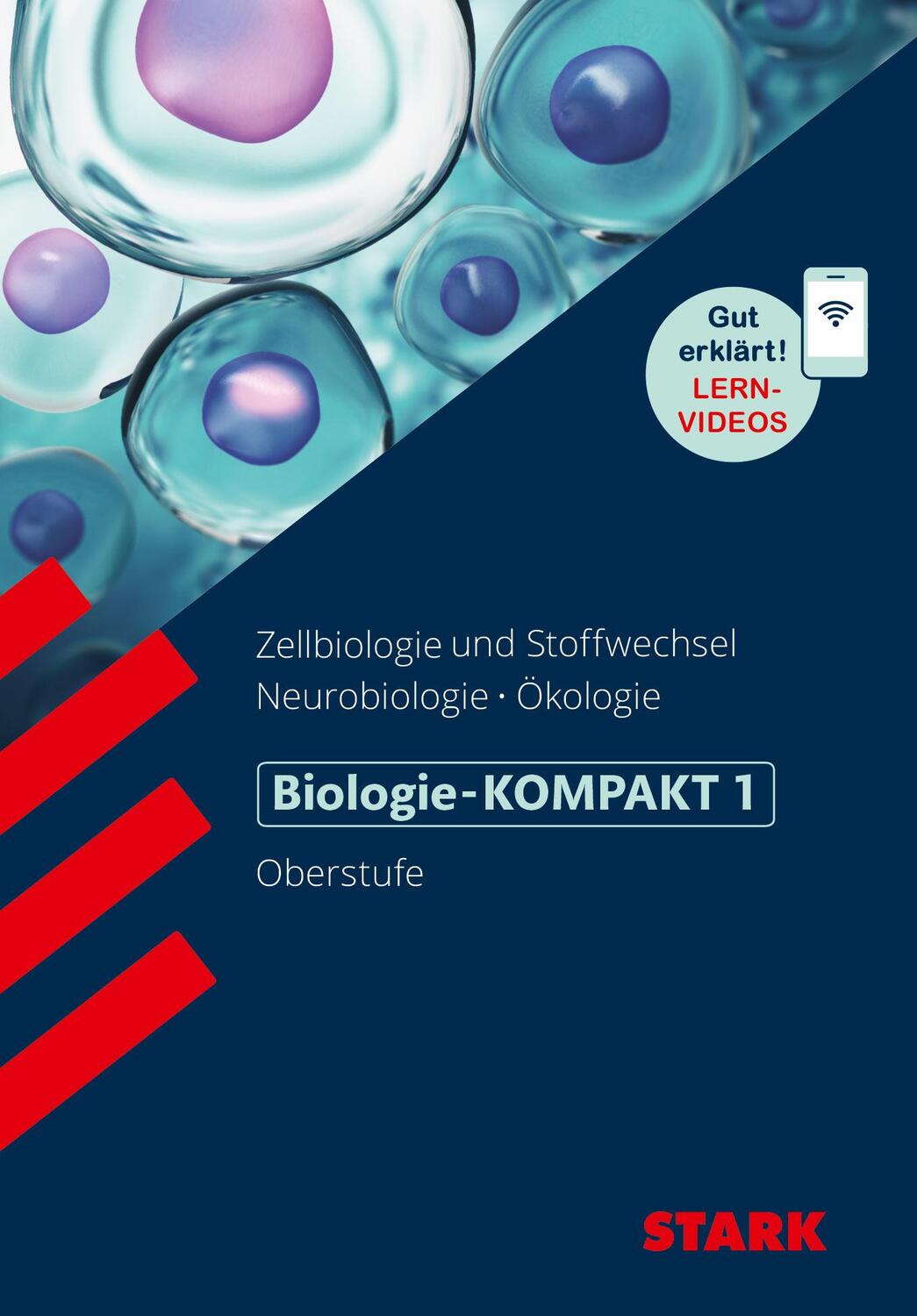 Cover: 9783849033248 | STARK Biologie-KOMPAKT 1 | Hans-Dieter Triebel | Taschenbuch | 126 S.