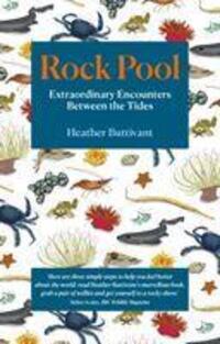 Cover: 9781912836123 | Rock Pool | Extraordinary Encounters Between the Tides | Buttivant