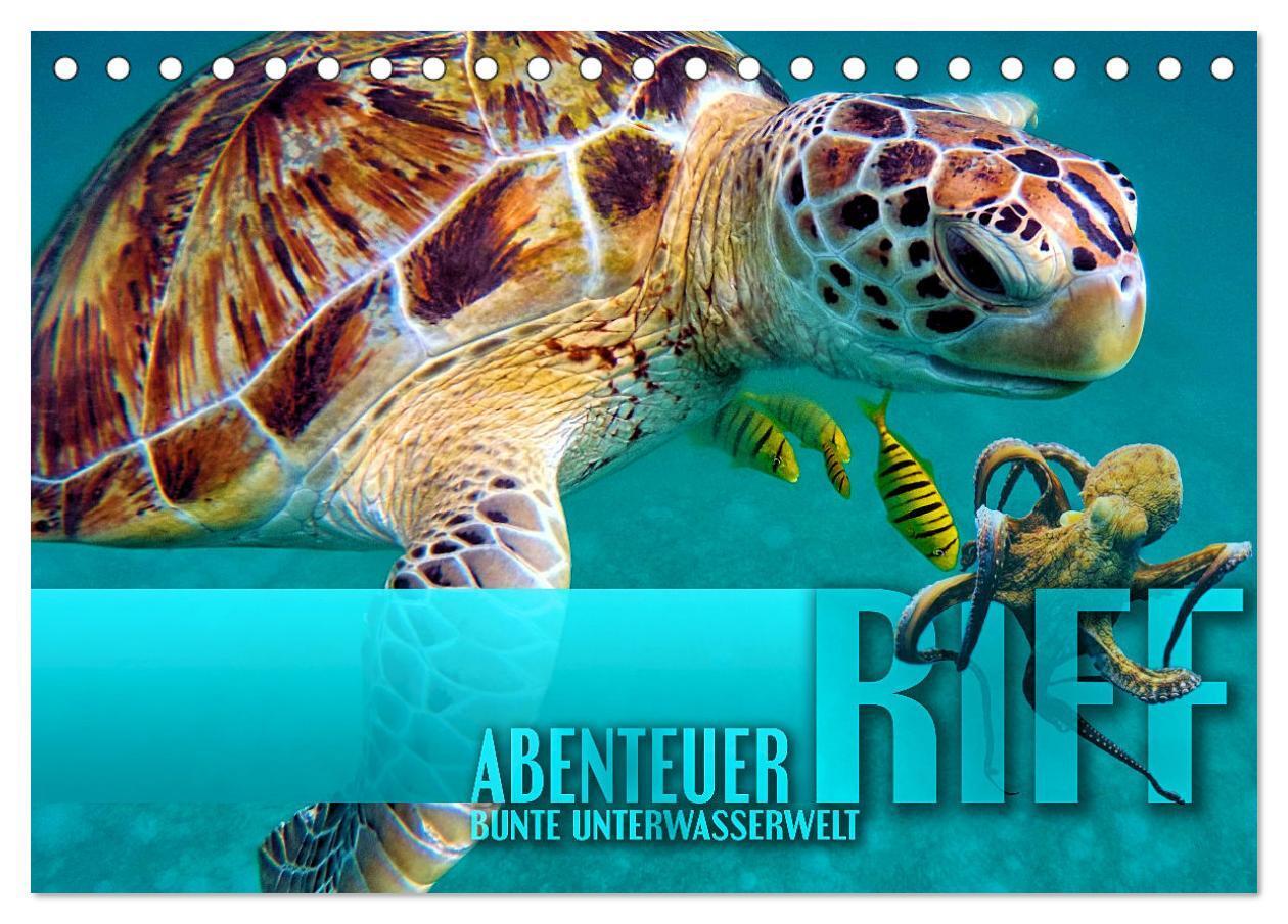 Cover: 9783675719491 | Abenteuer Riff - bunte Unterwasserwelt (Tischkalender 2024 DIN A5...