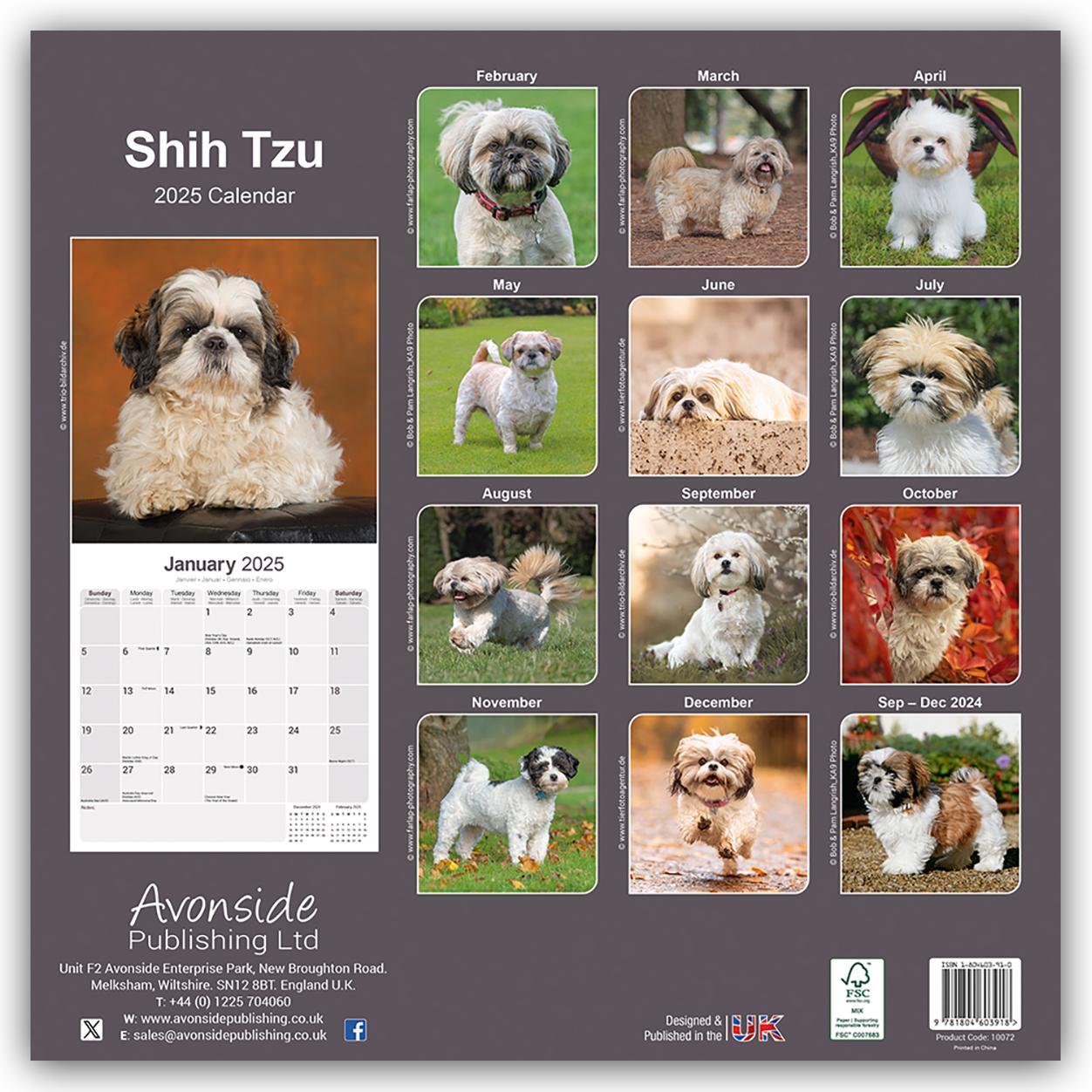 Rückseite: 9781804603918 | Shih Tzu 2025 - 16-Monatskalender | Avonside Publishing Ltd | Kalender