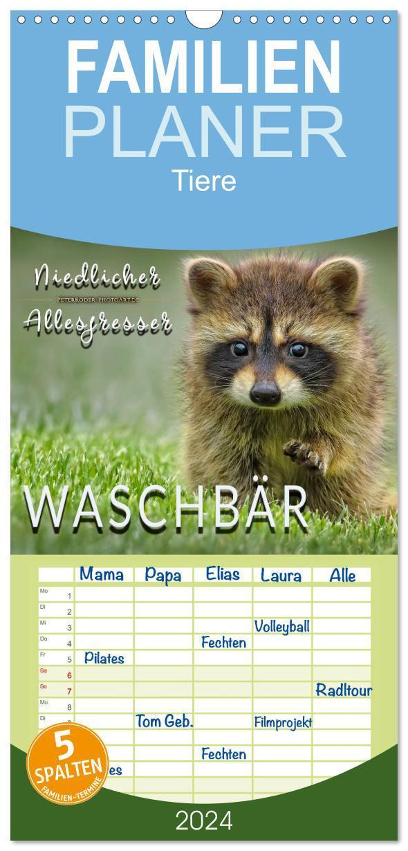 Cover: 9783383101939 | Familienplaner 2024 - Waschbär - Niedlicher Allesfresser mit 5...