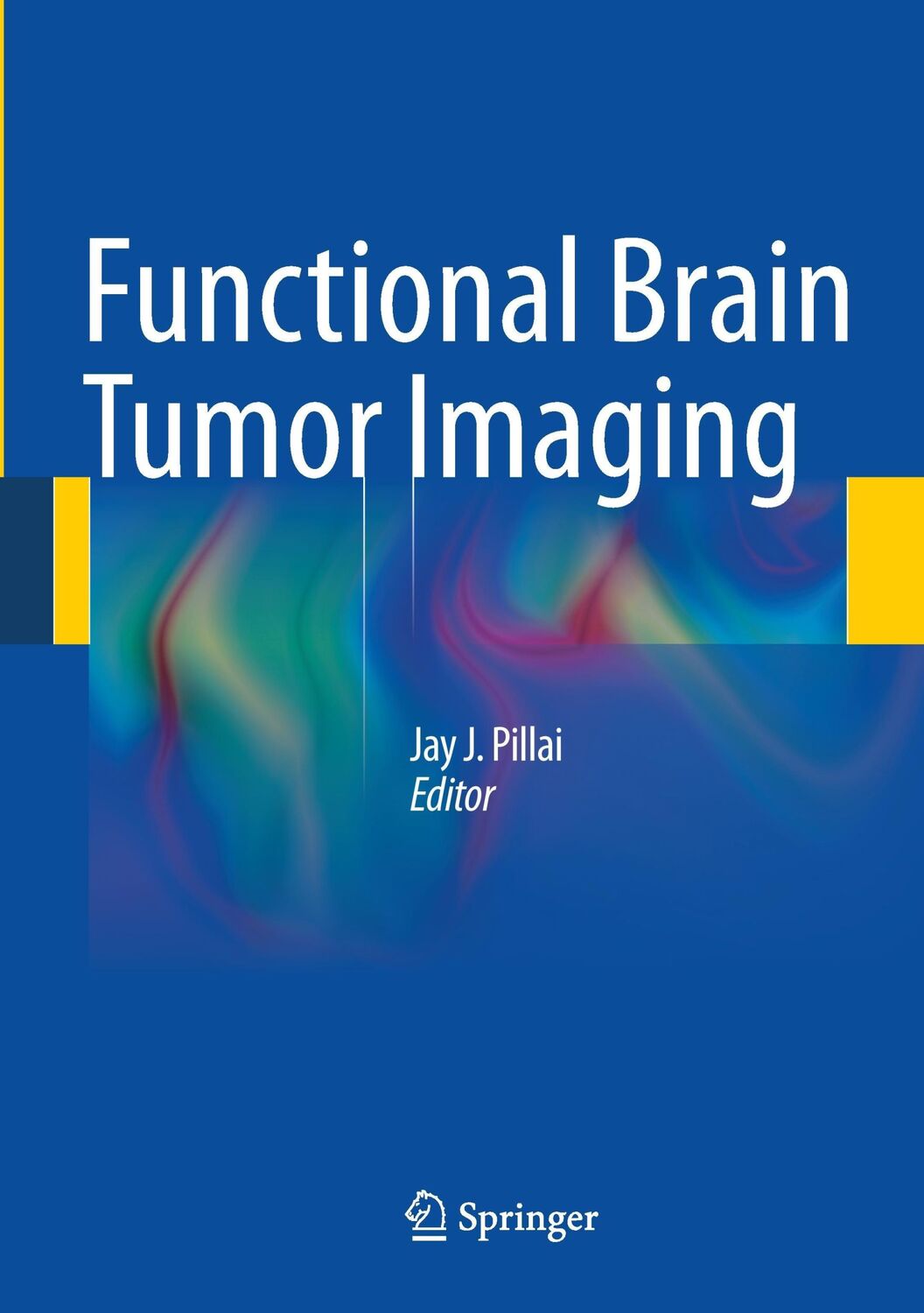 Cover: 9781441958570 | Functional Brain Tumor Imaging | Jay J. Pillai | Buch | xiii | 2013