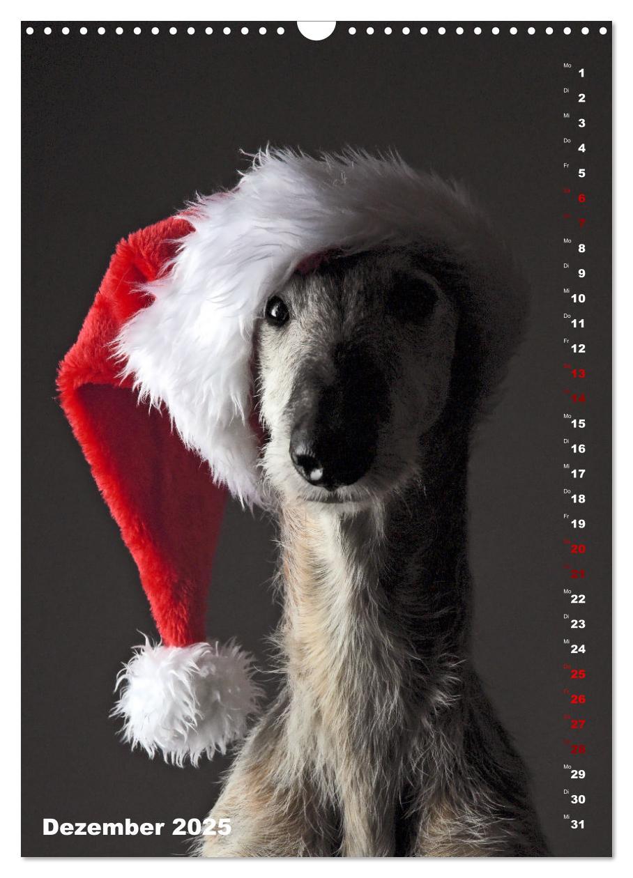 Bild: 9783457230824 | dogmuse deluxe (Wandkalender 2025 DIN A3 hoch), CALVENDO...