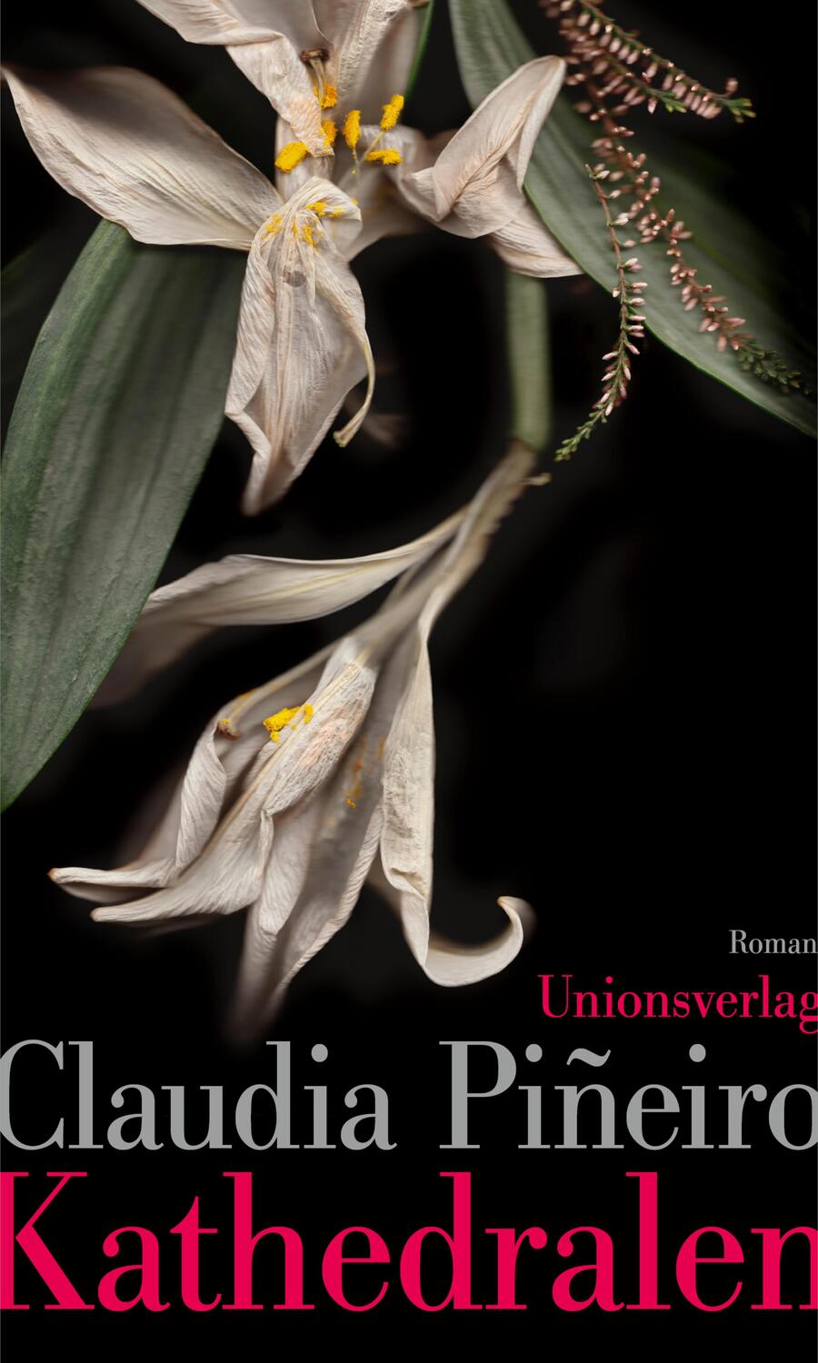 Cover: 9783293005921 | Kathedralen | Roman | Claudia Piñeiro | Buch | 320 S. | Deutsch | 2023