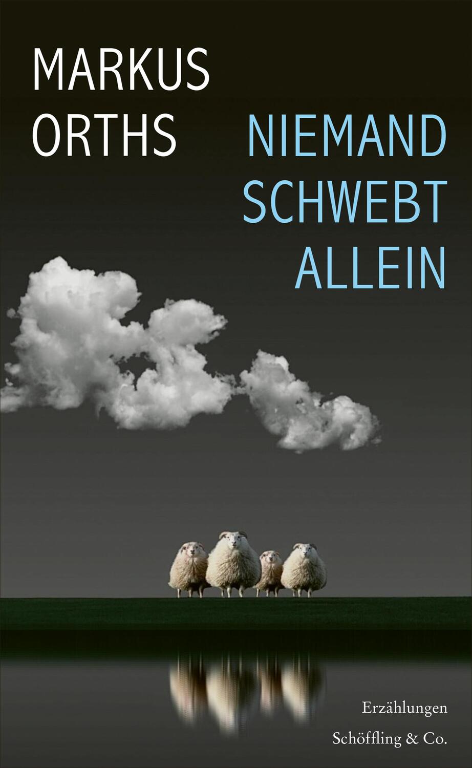 Cover: 9783895611094 | Niemand schwebt allein | Markus Orths | Buch | 192 S. | Deutsch | 2024