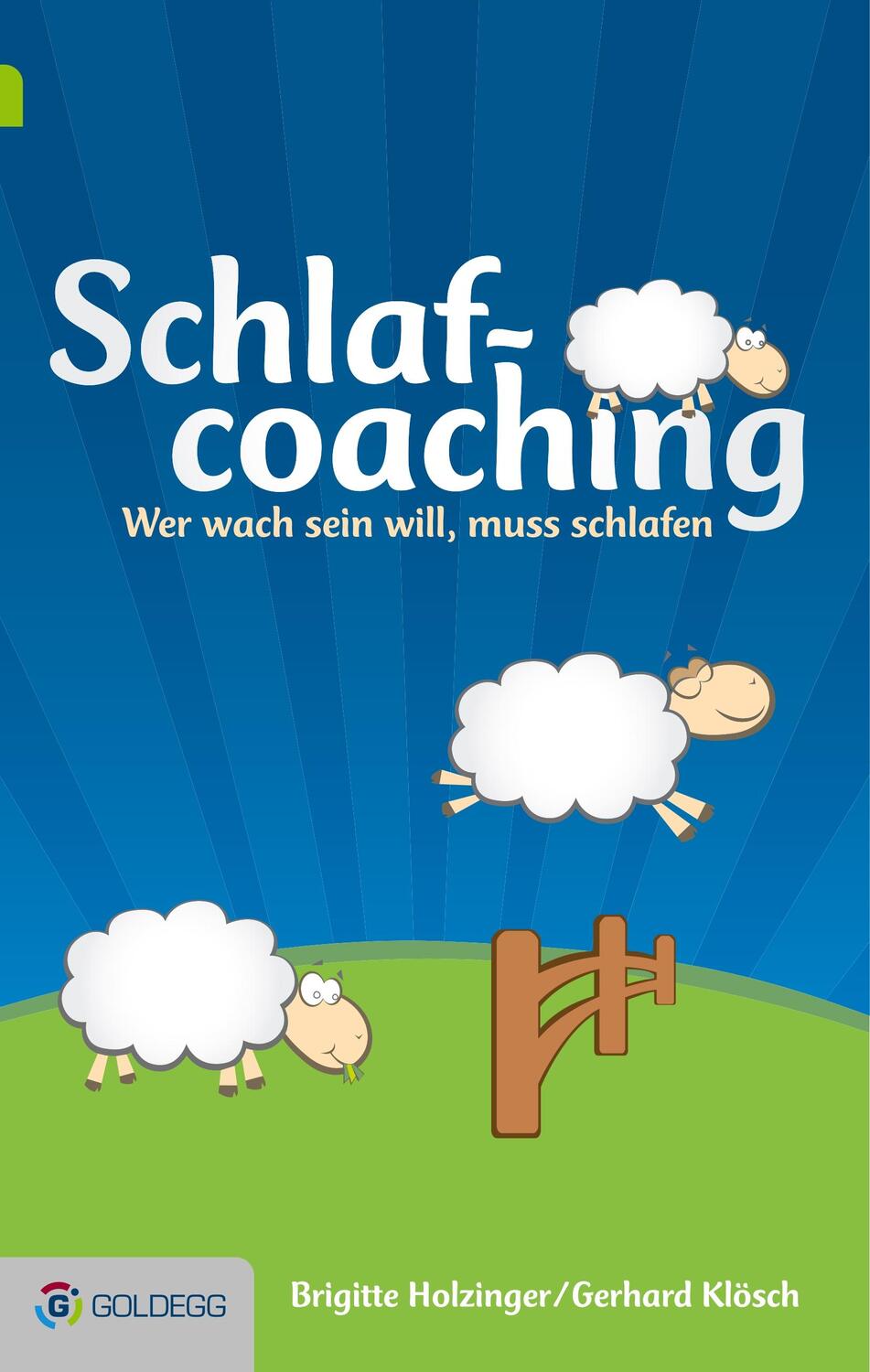 Cover: 9783902903488 | Schlafcoaching | Wer wach sein will, muss schlafen | Holzinger (u. a.)