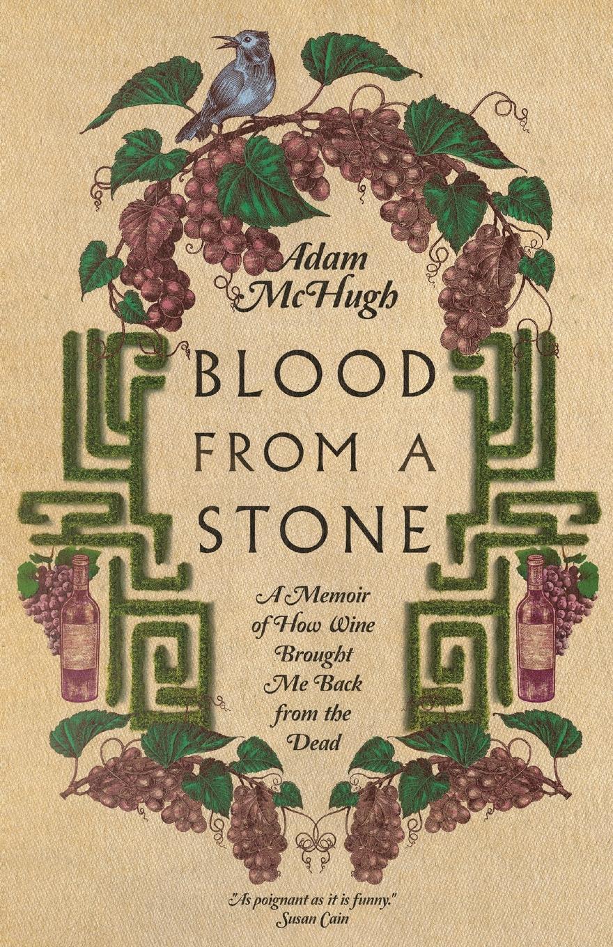 Cover: 9781514000885 | Blood from a Stone | Adam S McHugh | Taschenbuch | Paperback | 2022