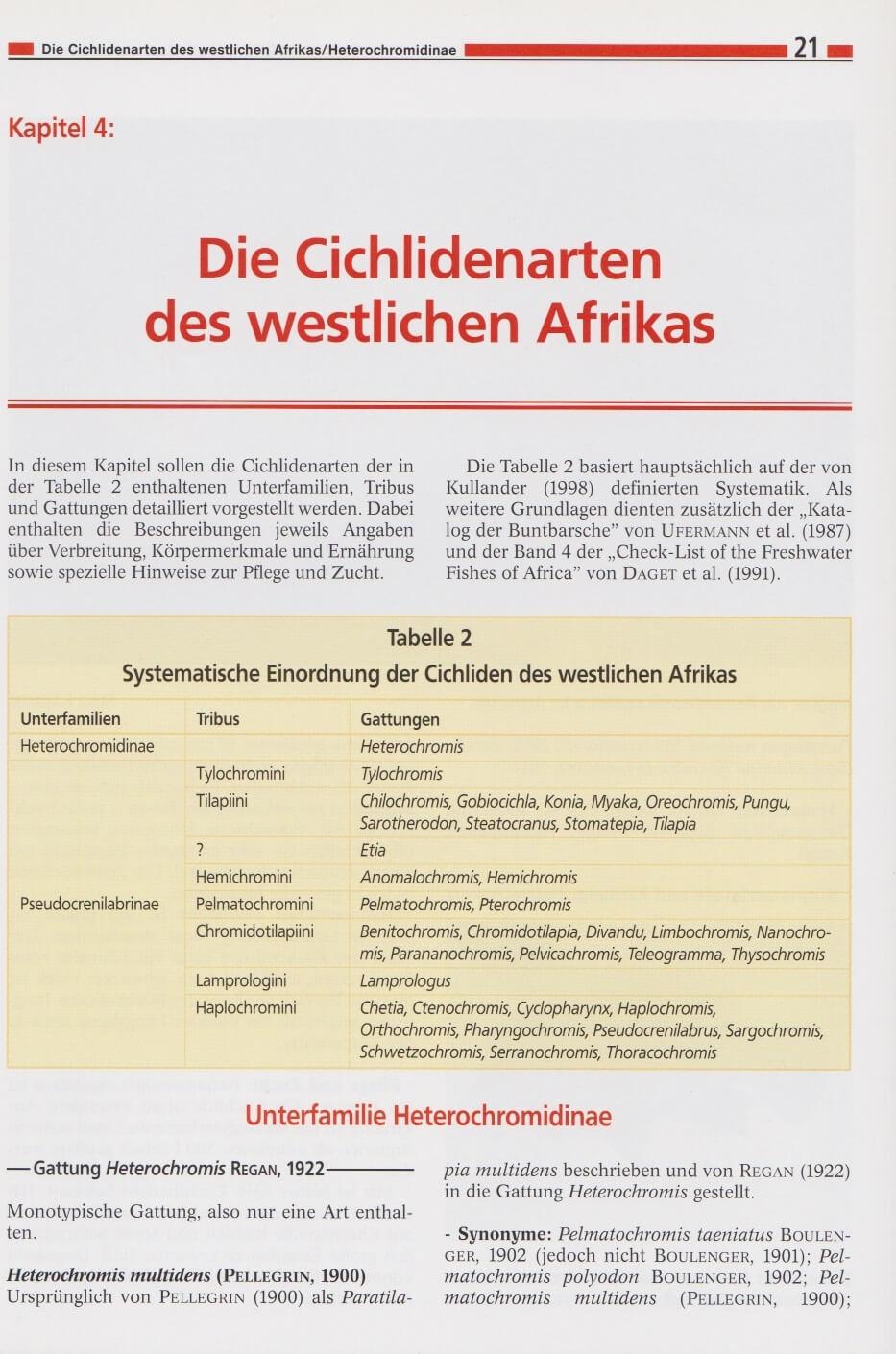 Bild: 9783866590007 | Die Cichliden des westlichen Afrikas | Anton Lamboj | Buch | Deutsch