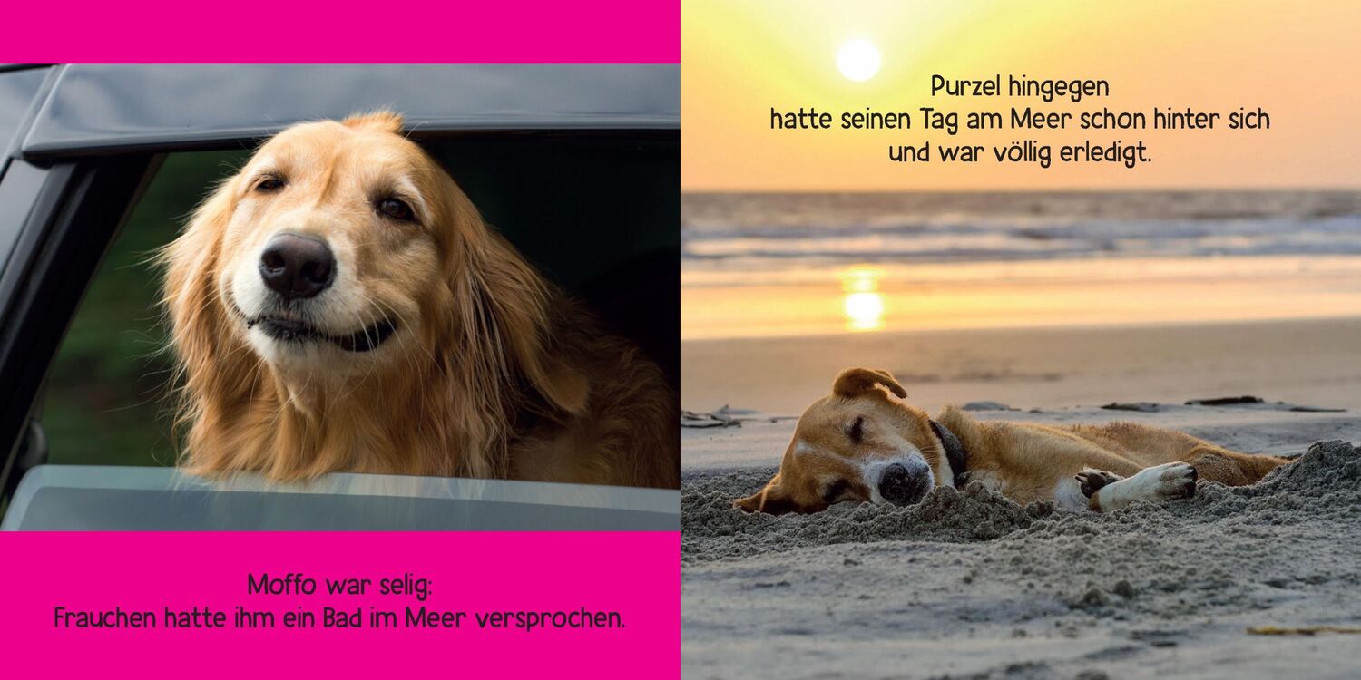 Bild: 9783625192961 | Mein Hund ist voll bekloppt | Katrin Höller | Taschenbuch | 124 S.