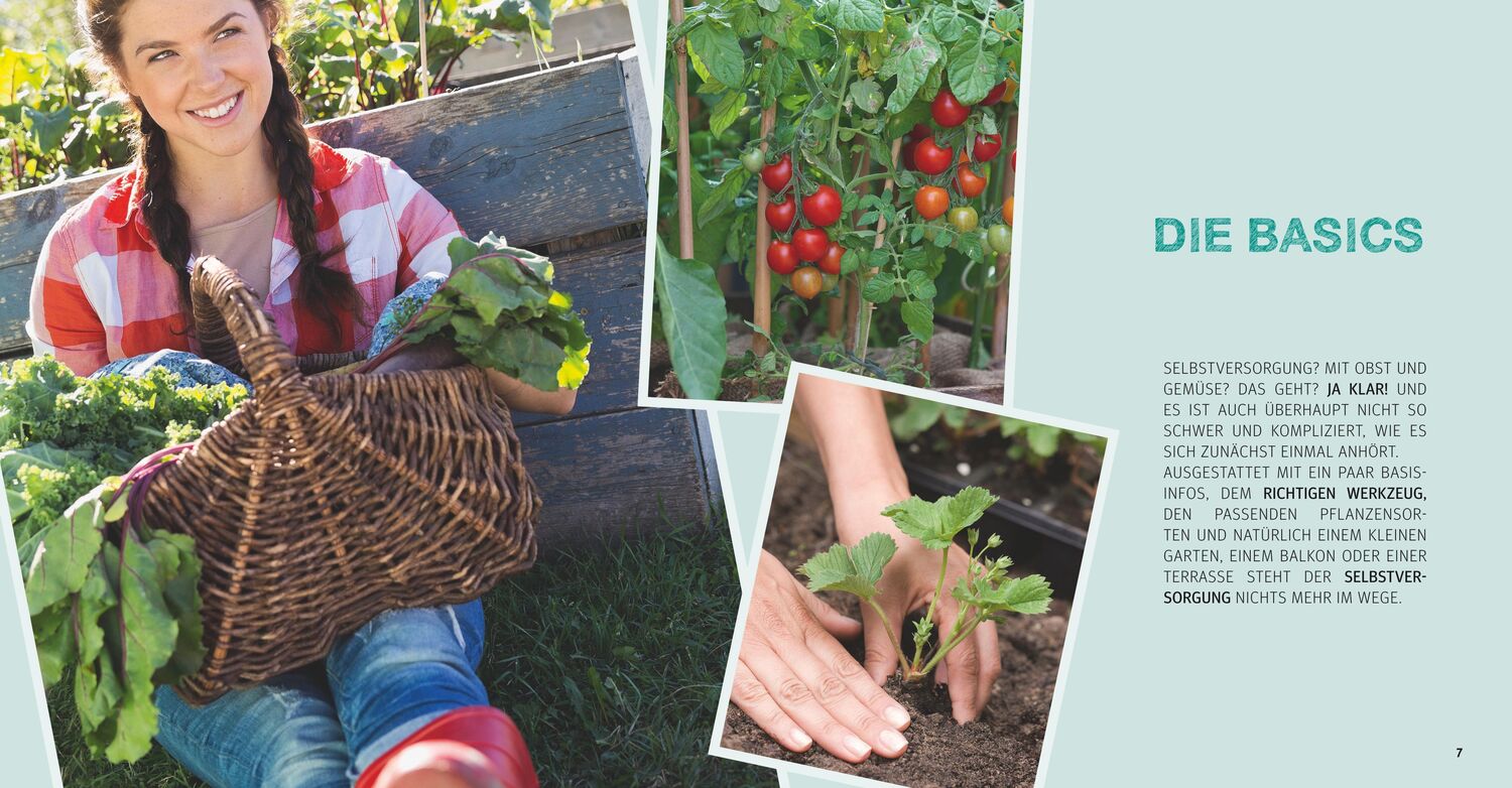 Bild: 9783833865343 | Selbstversorger Basics | Obst- und Gemüsegärtnern für Anfänger | Buch