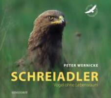 Cover: 9783356013061 | Schreiadler | Vogel ohne Lebensraum | Peter Wernicke | Buch | 80 S.