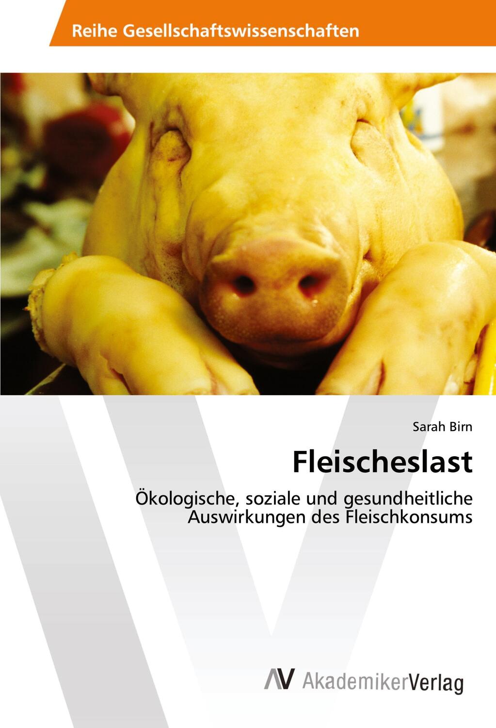 Cover: 9783639468168 | Fleischeslast | Sarah Birn | Taschenbuch | Paperback | Deutsch | 2013