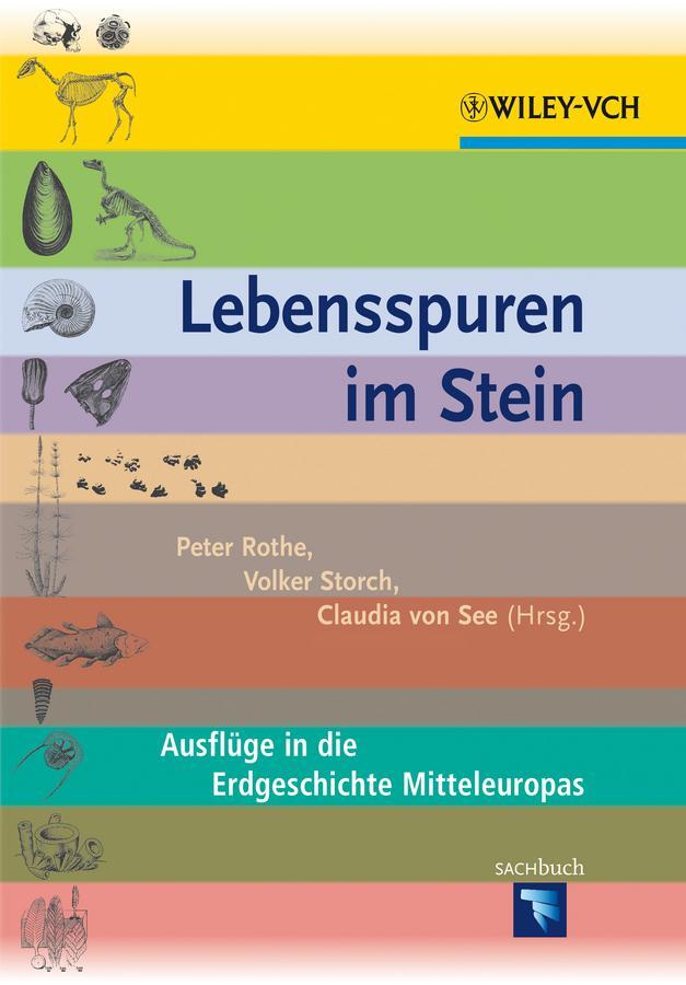 Cover: 9783527327669 | Lebensspuren im Stein | Ausflüge in die Erdgeschichte Mitteleuropas