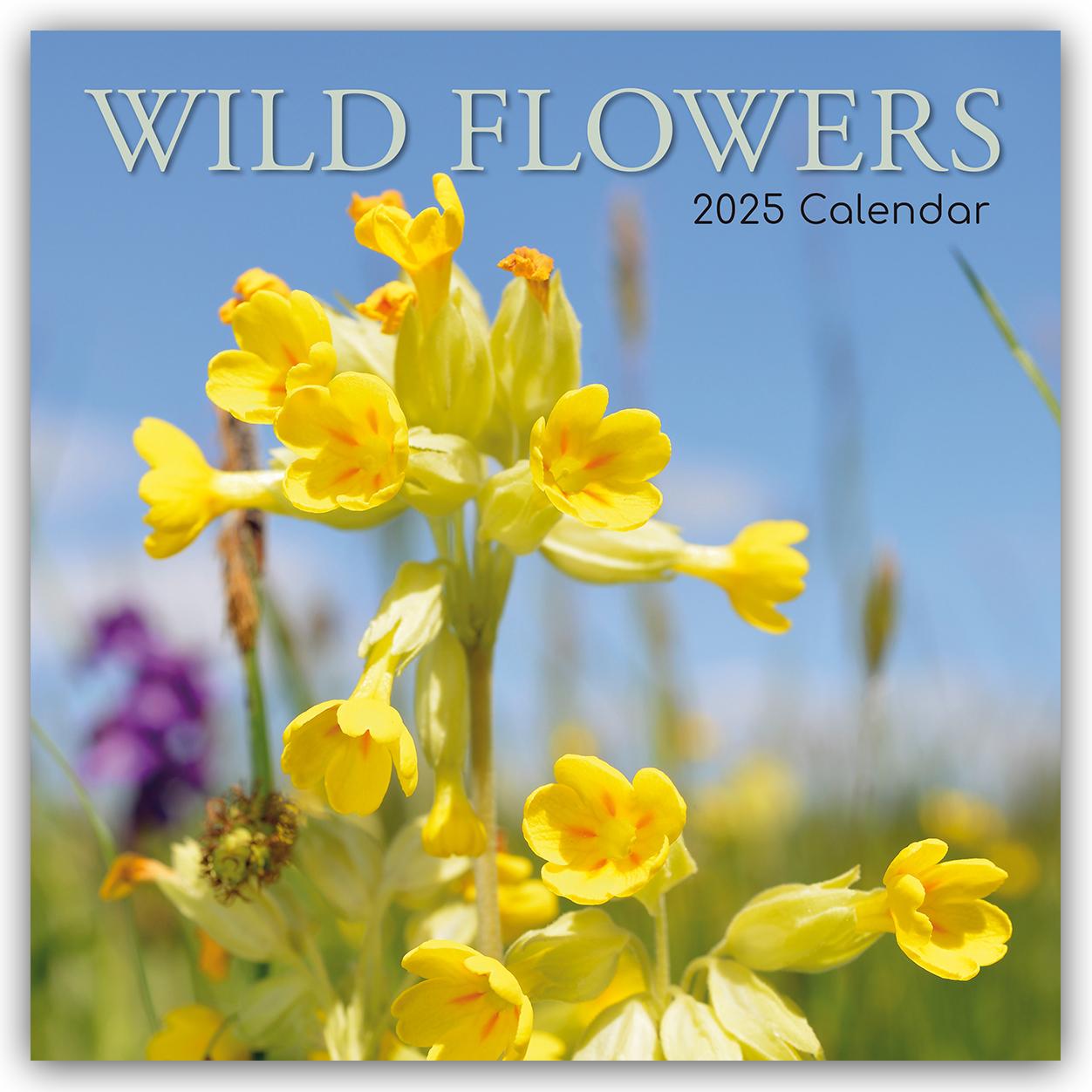 Cover: 9781835362556 | Wild Flowers - Wildblumen 2025 - 16-Monatskalender | Ltd | Kalender