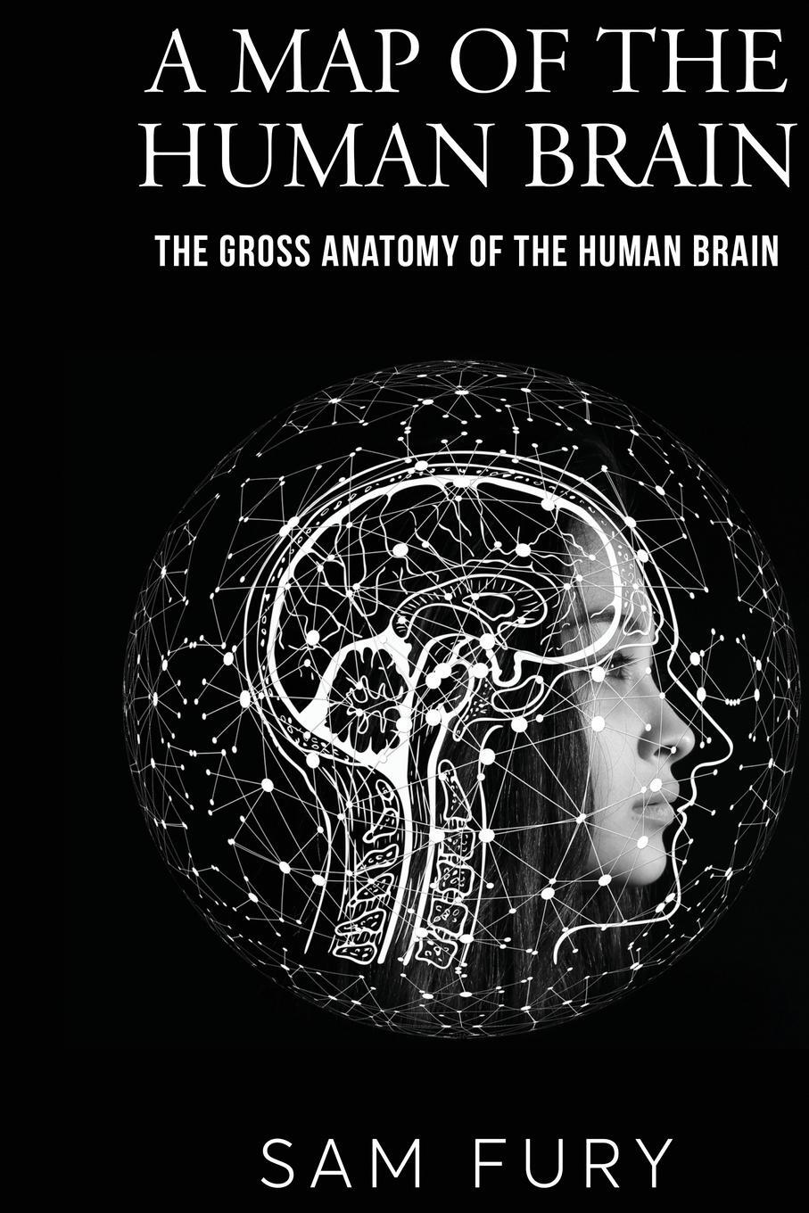 Cover: 9781922649737 | A Map of the Human Brain | The Gross Anatomy of the Human Brain | Fury