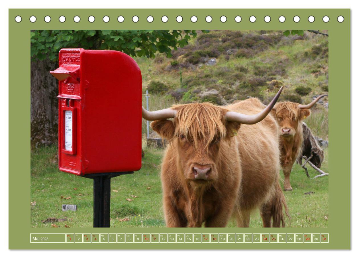 Bild: 9783435169801 | Sie haben Post - Briefkästen in Schottland (Tischkalender 2025 DIN...