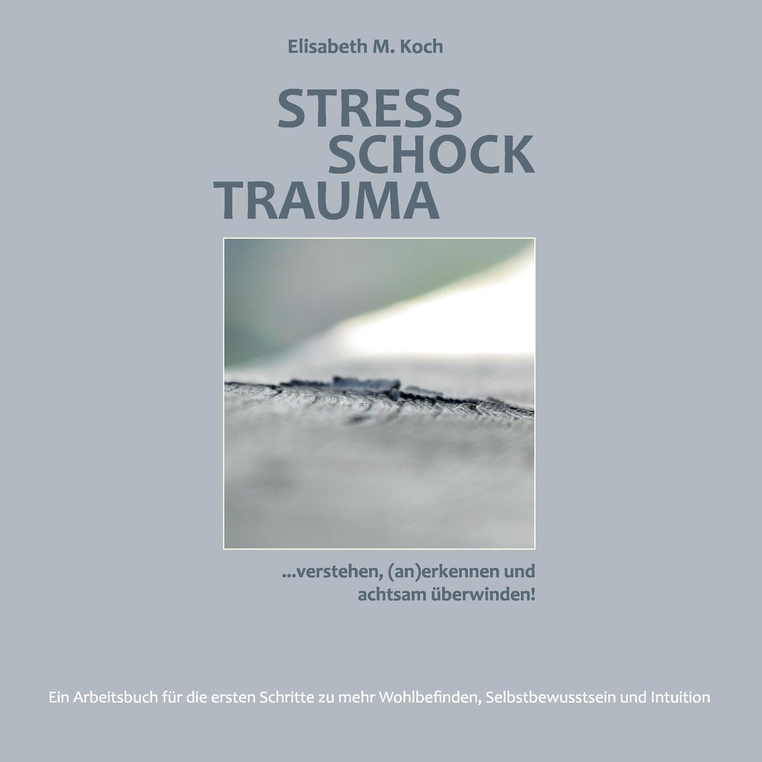 Cover: 9783743180925 | Stress Schock Trauma ... verstehen, (an)erkennen und achtsam...