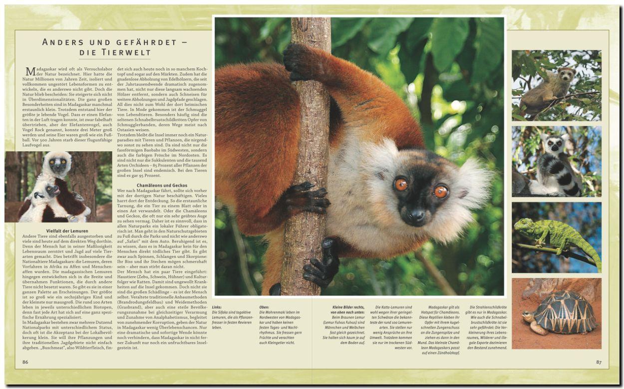 Bild: 9783800342167 | Reise durch Madagaskar | Franz Stadelmann | Buch | Reise durch | 2014