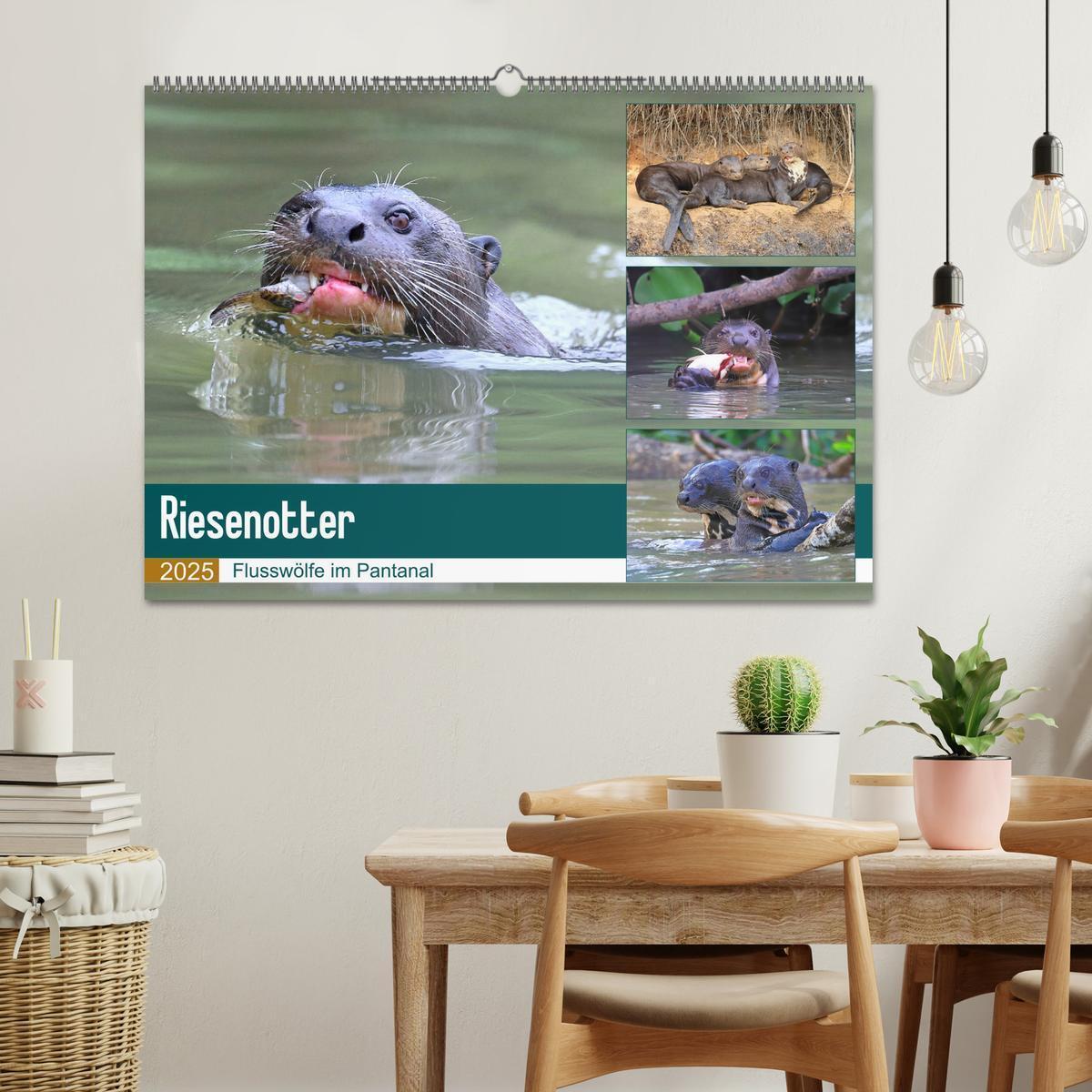 Bild: 9783435262595 | Riesenotter - Flusswölfe im Pantanal (Wandkalender 2025 DIN A2...