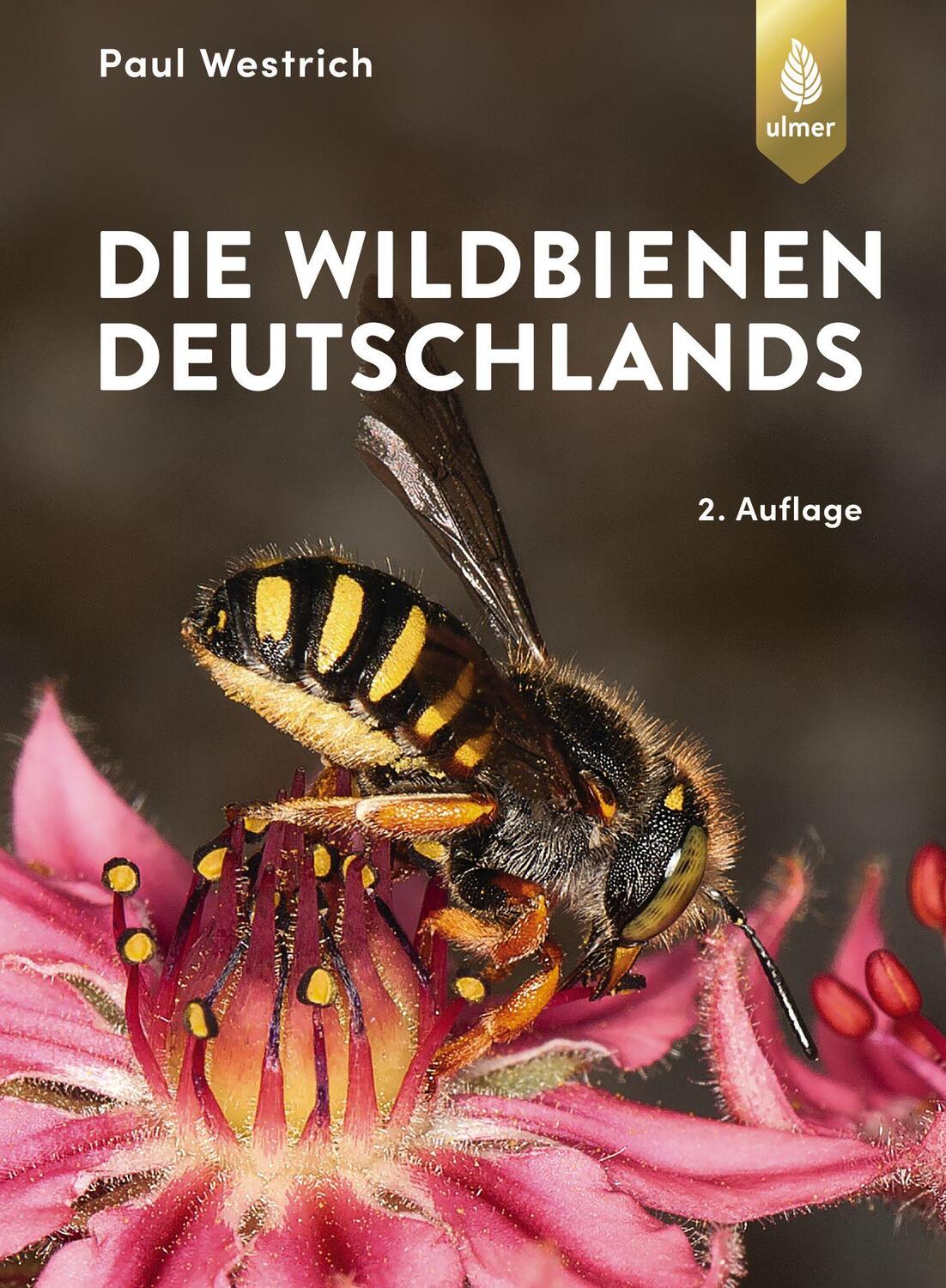 Cover: 9783818608804 | Die Wildbienen Deutschlands | Paul Westrich | Buch | 824 S. | Deutsch