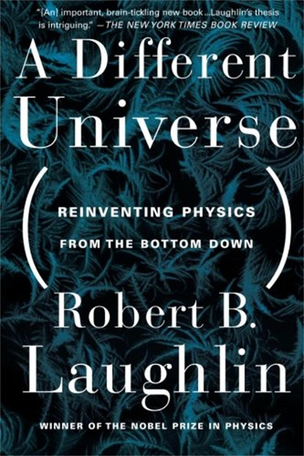 Cover: 9780465038299 | A Different Universe | Reinventing Physics From the Bottom Down | Buch