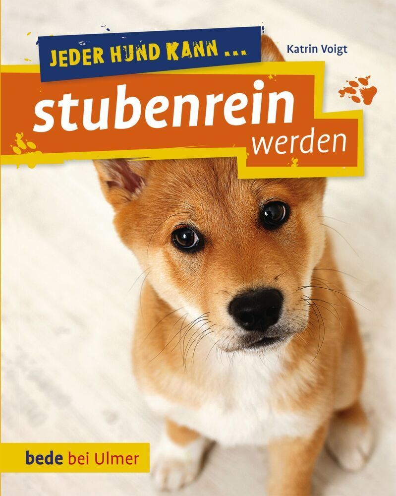 Cover: 9783800178568 | Jeder Hund kann ... stubenrein werden | Katrin Voigt | Taschenbuch