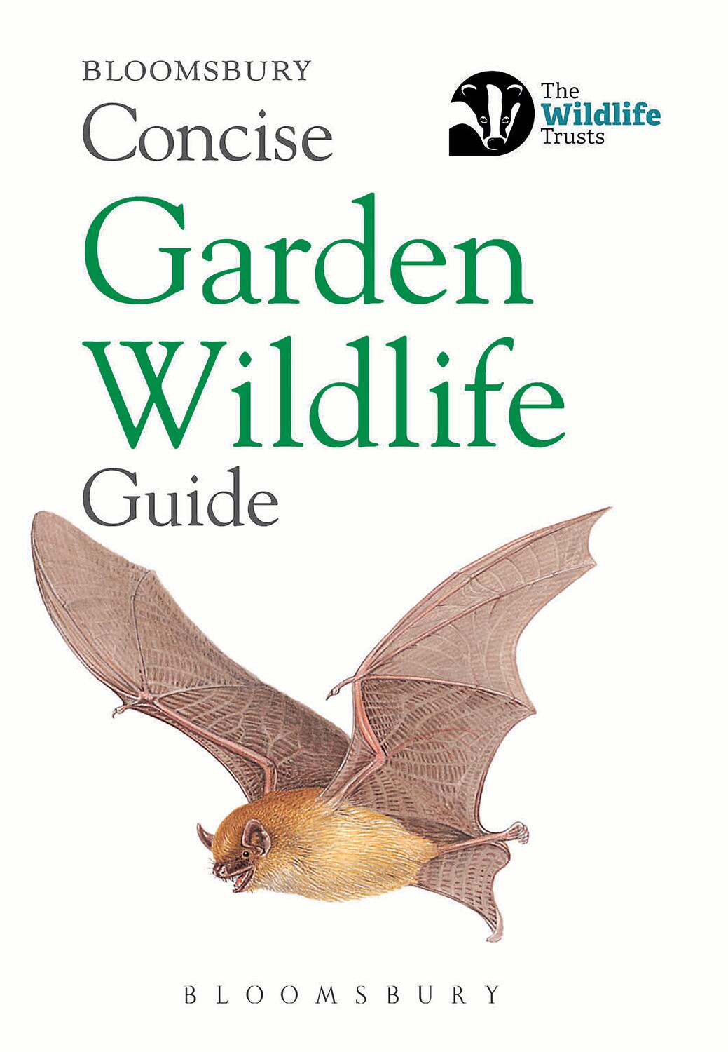 Cover: 9781472966643 | Concise Garden Wildlife Guide | Bloomsbury | Taschenbuch | Englisch