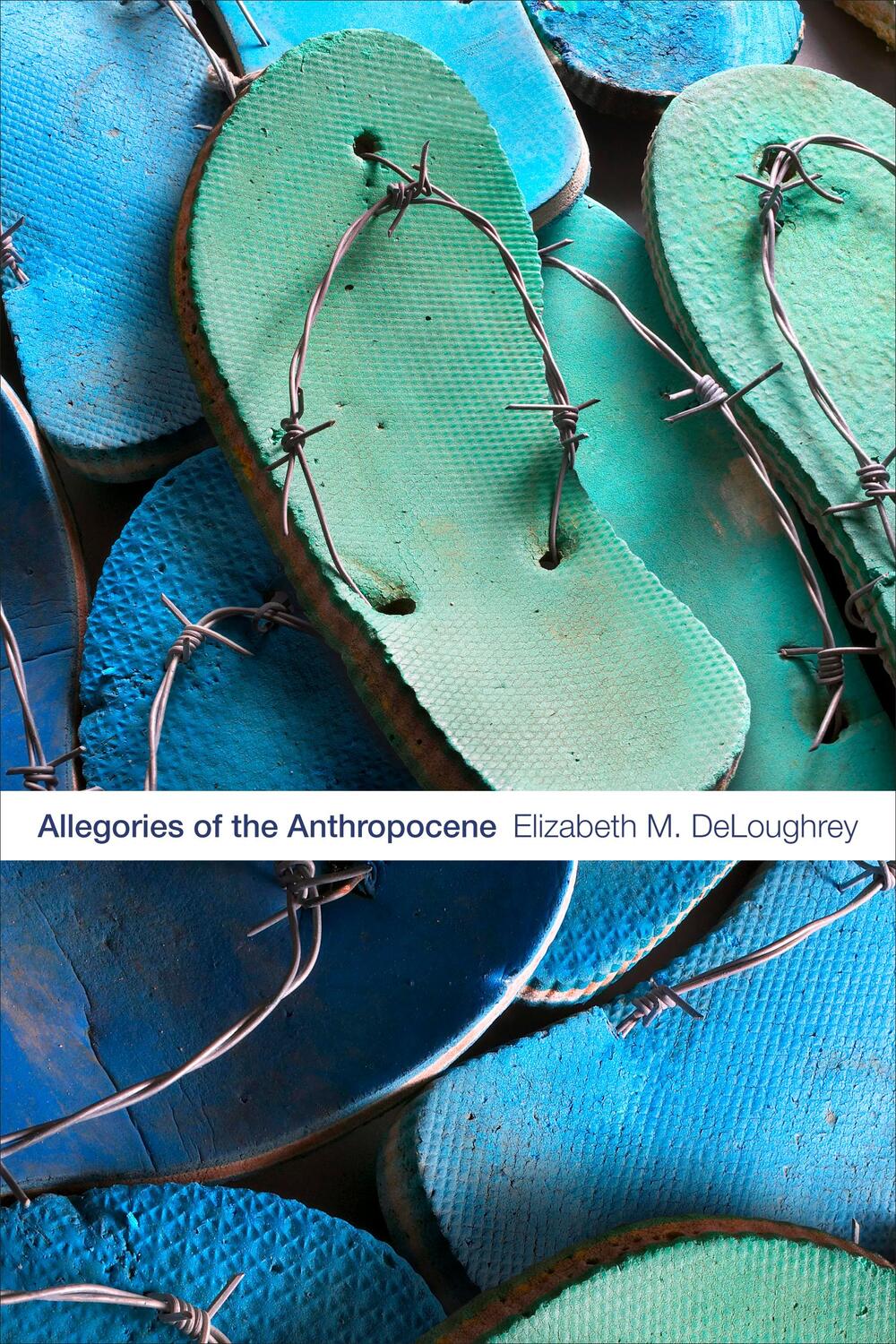Cover: 9781478004714 | Allegories of the Anthropocene | Elizabeth M. DeLoughrey | Taschenbuch
