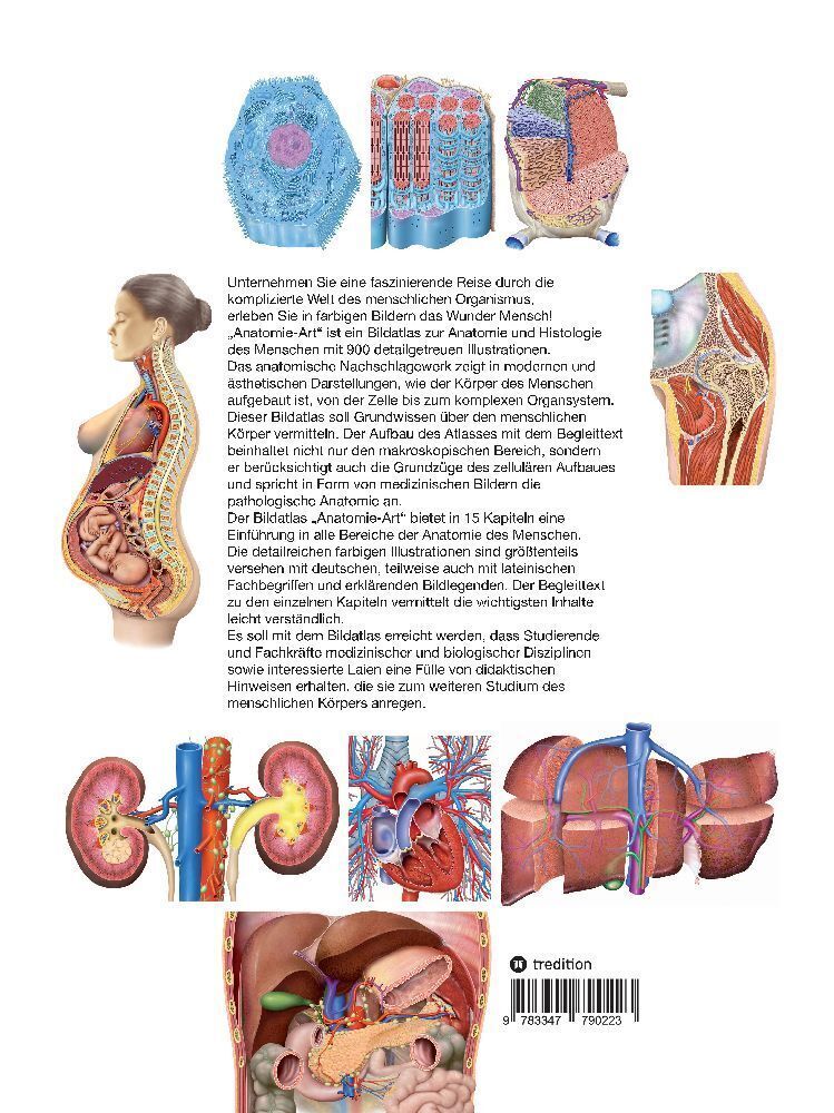 Bild: 9783347790223 | Anatomie-Art | Bildatlas zur Anatomie und Histologie des Menschen