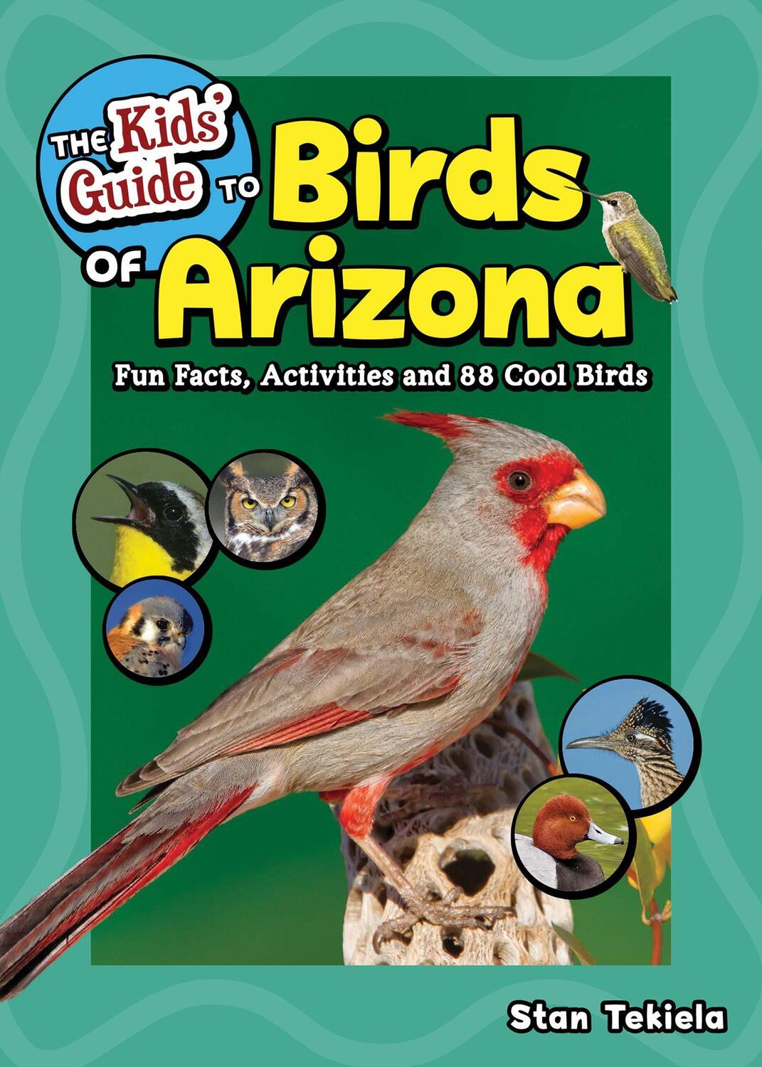 Cover: 9781647552077 | The Kids' Guide to Birds of Arizona | Stan Tekiela | Taschenbuch