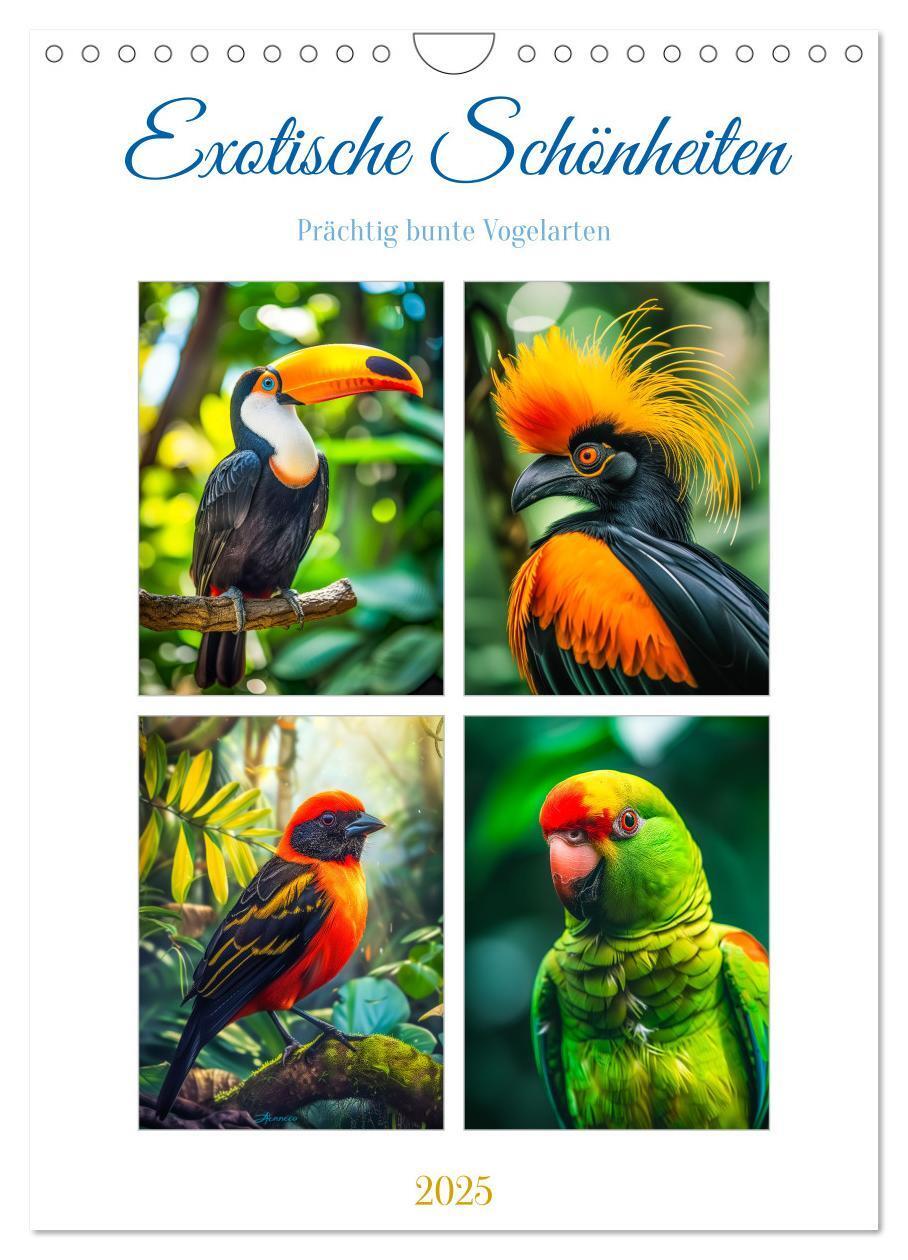 Cover: 9783383783234 | Exotische Schönheiten - prächtig bunte Vögel (Wandkalender 2025 DIN...